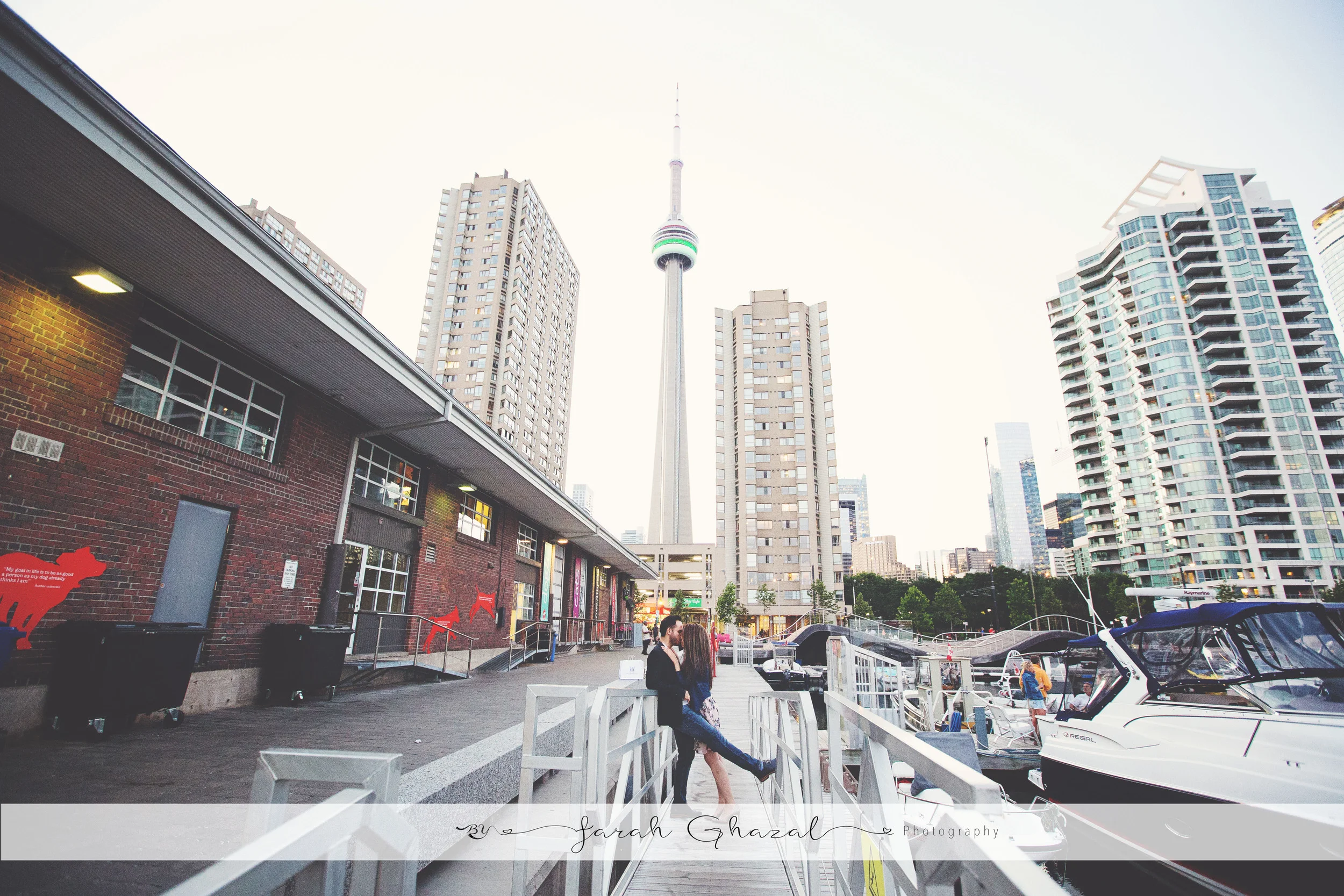 149.jpg