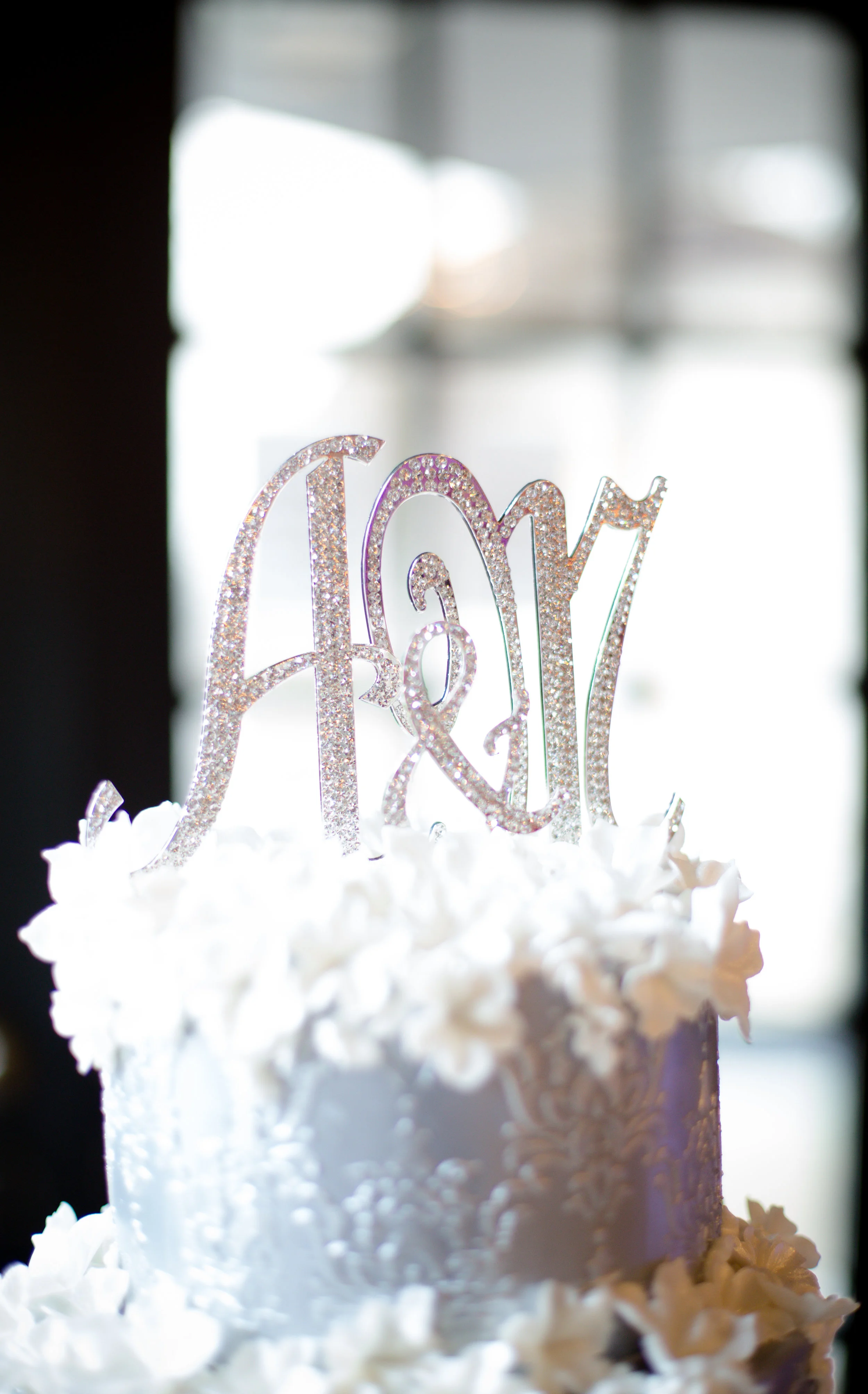 untitled shoot-5178.jpg