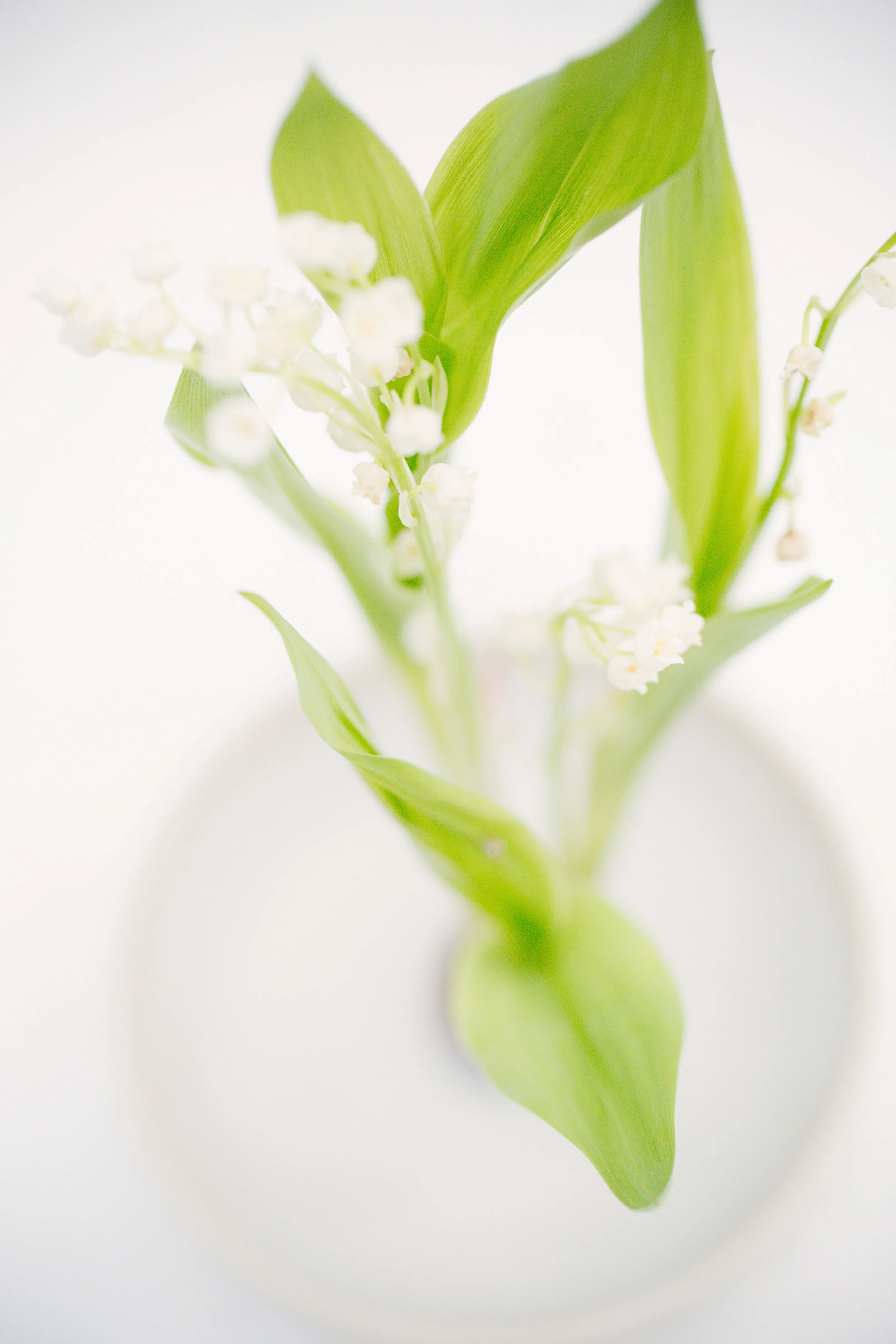 untitled shoot-0451.jpg