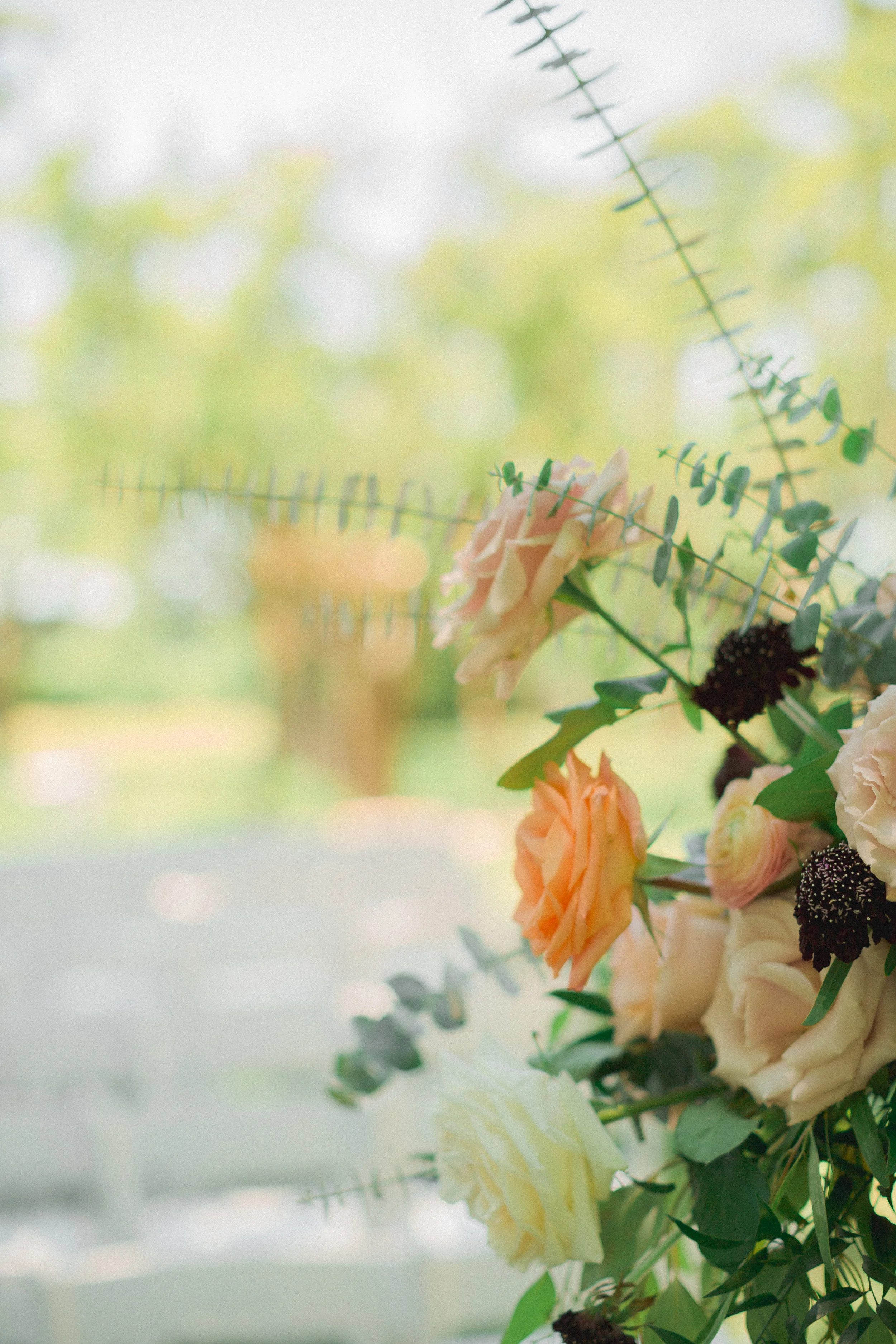 untitled shoot-7058.jpg