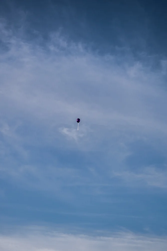 Alzheimer's Walk — Jodi Locke Photography