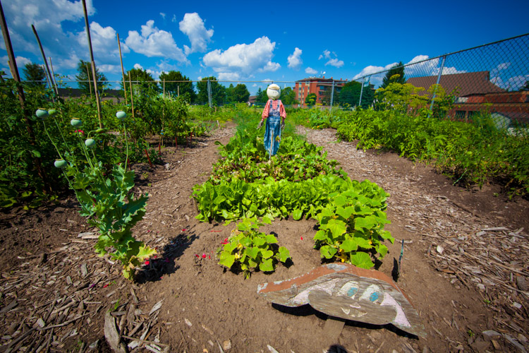 GardenTour2015-62.jpg