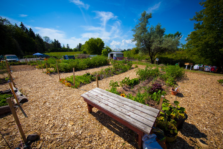 GardenTour2015-76.jpg