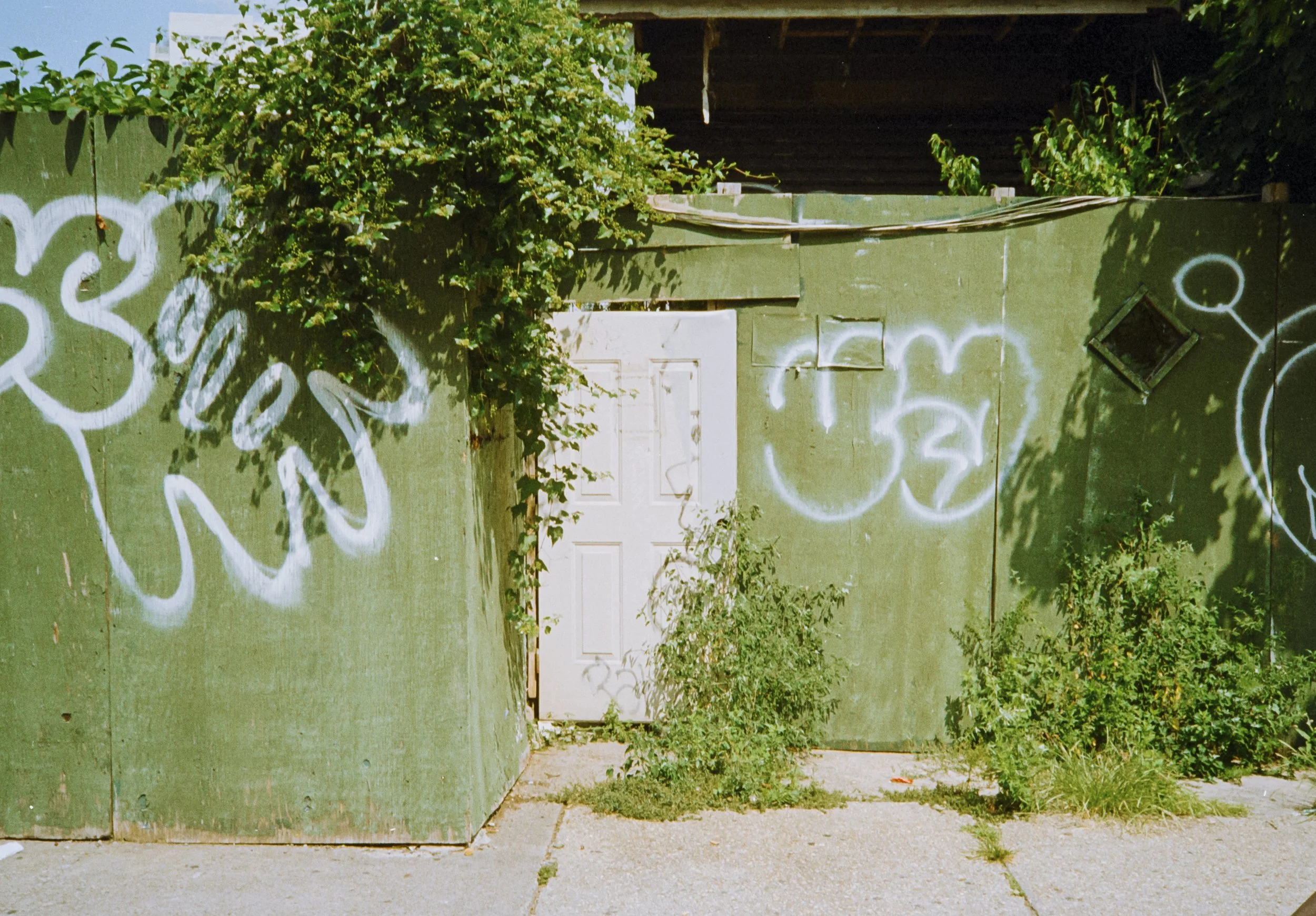 Untitled (21)-positive-3.jpg