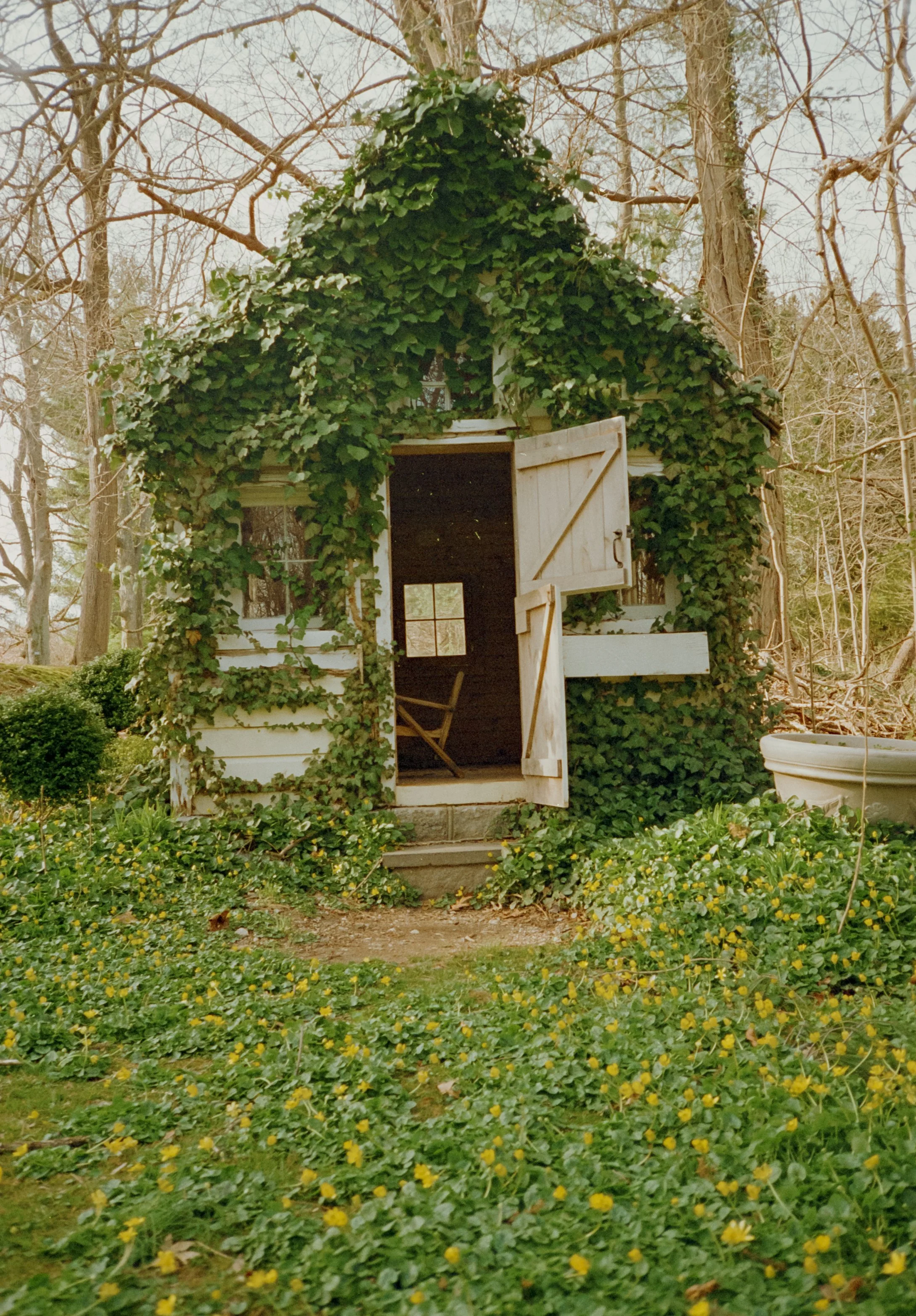 Untitled (8)-positive.jpg