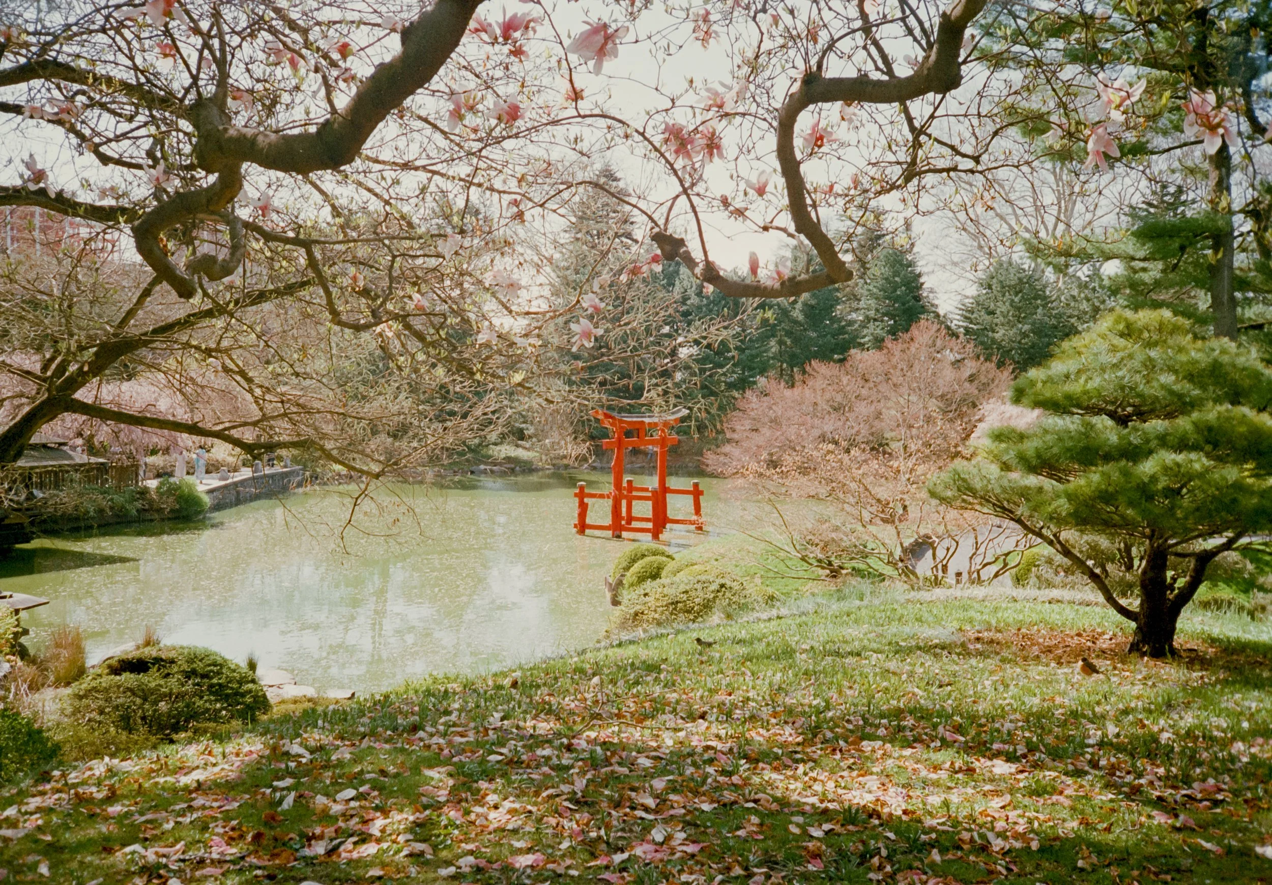 Untitled (67)-positive.jpg