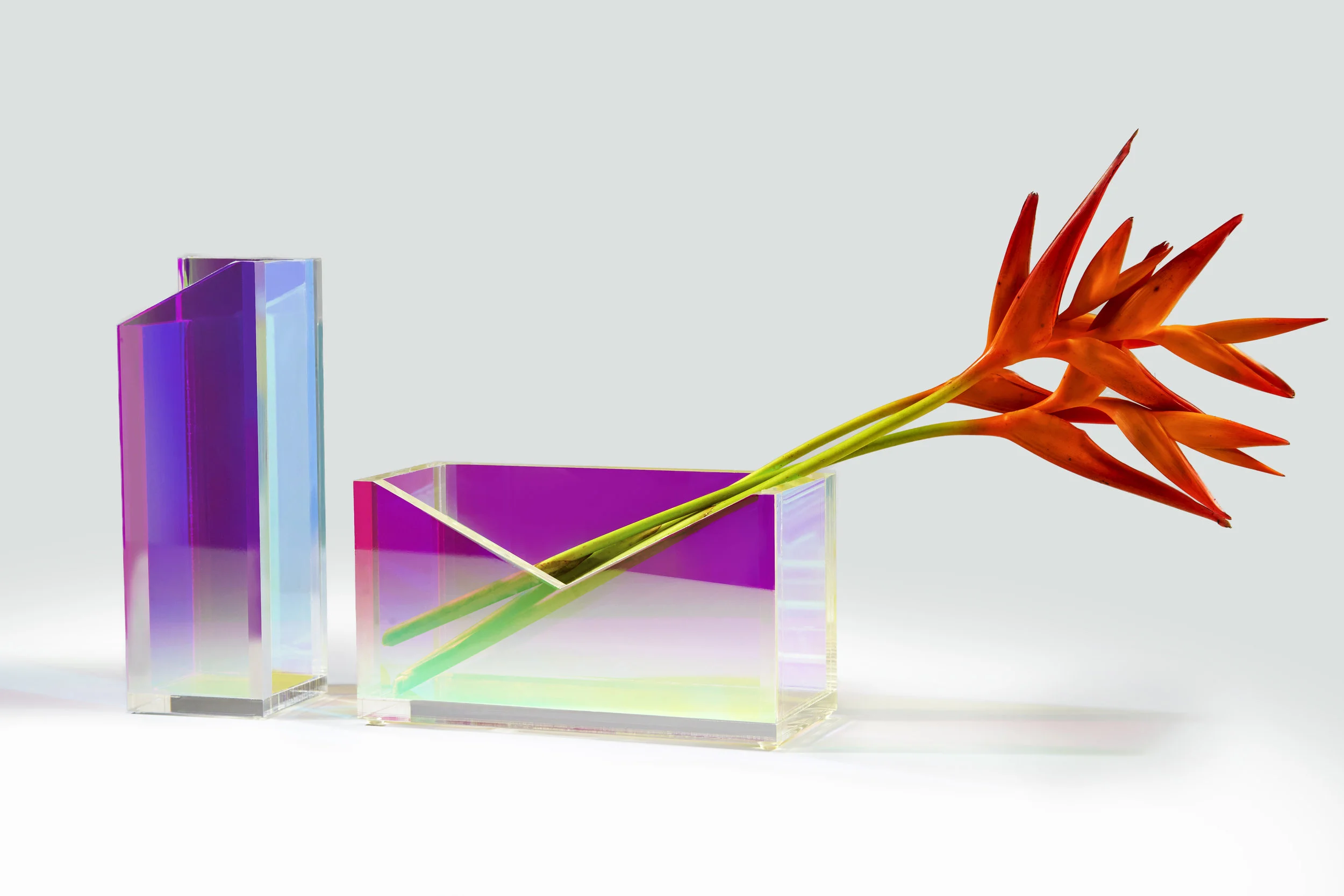 Joogii - FT Collection - Vases.jpg