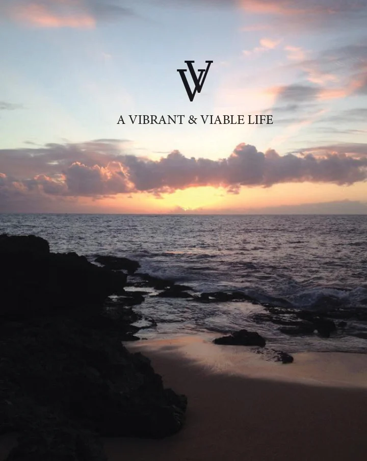 VV Magazine