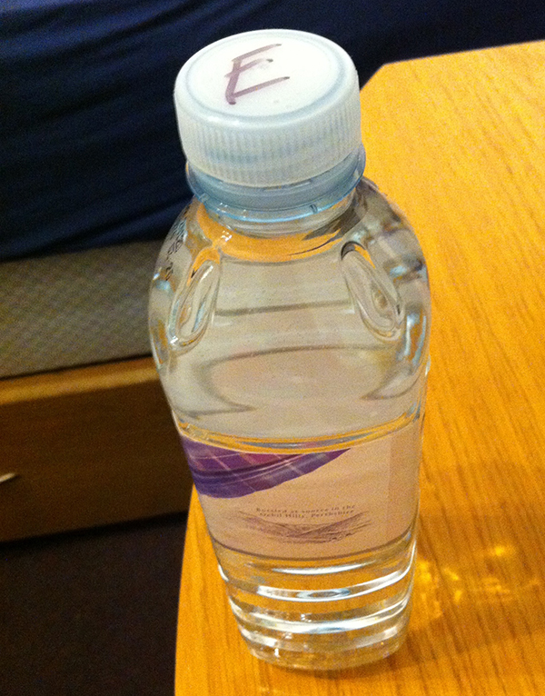 Emily's water bottle given to Elissa after a Court Yard Hounds show by a roadie.