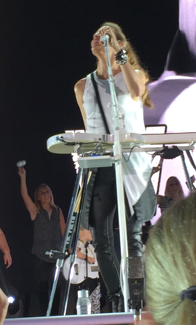 Jamie in the background on stage for DCX concert finale.