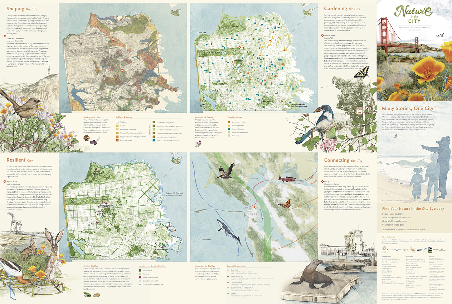 Energize gå på arbejde Perth Blackborough Nature in the City Map — Nature in the City