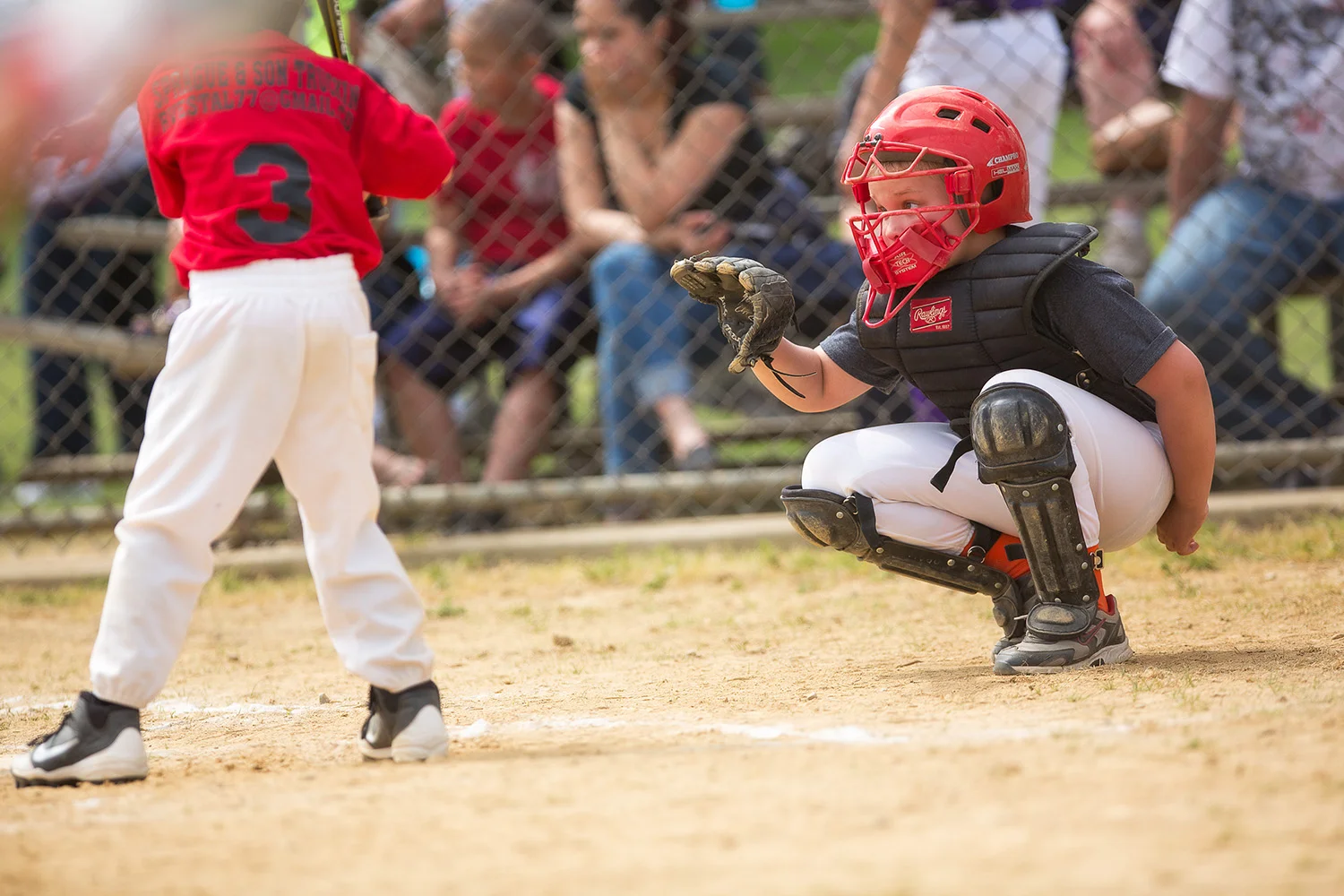 Warriors vs Gladiators 2014