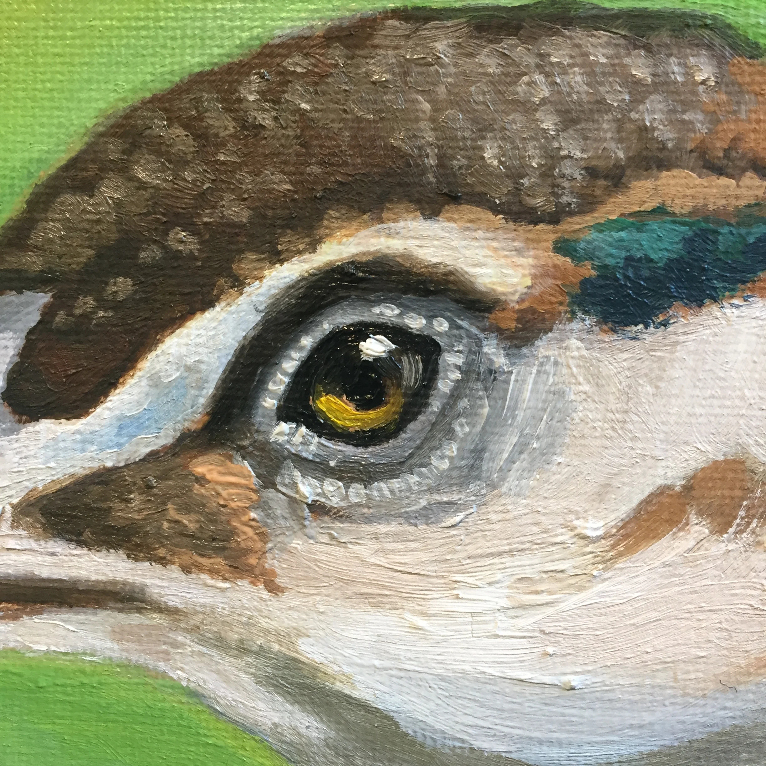 beth dougherty pea hen detail 3.JPG