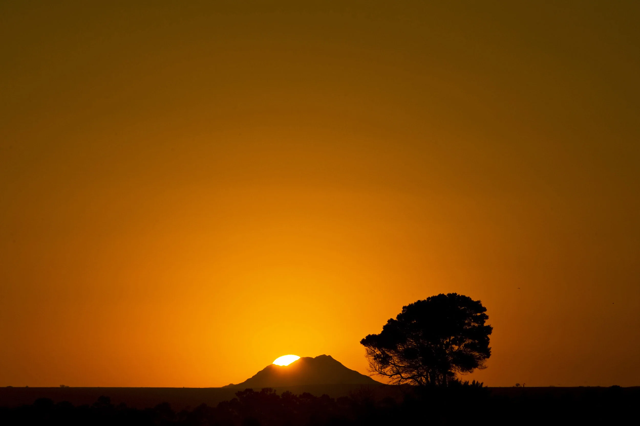 INTO AFRICA
