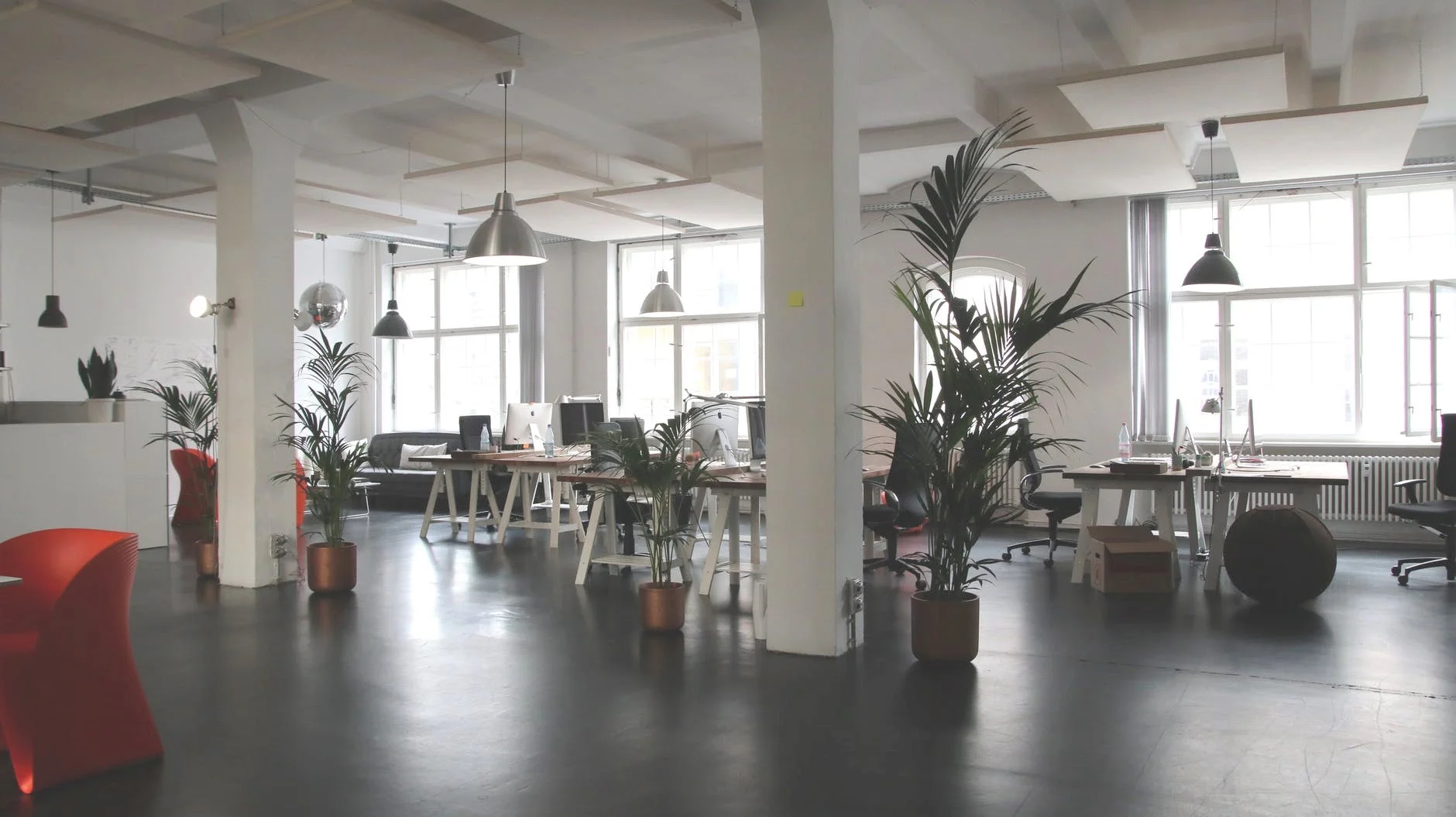 Decrease Noise, Stress, and Absenteeism with…Plants?!