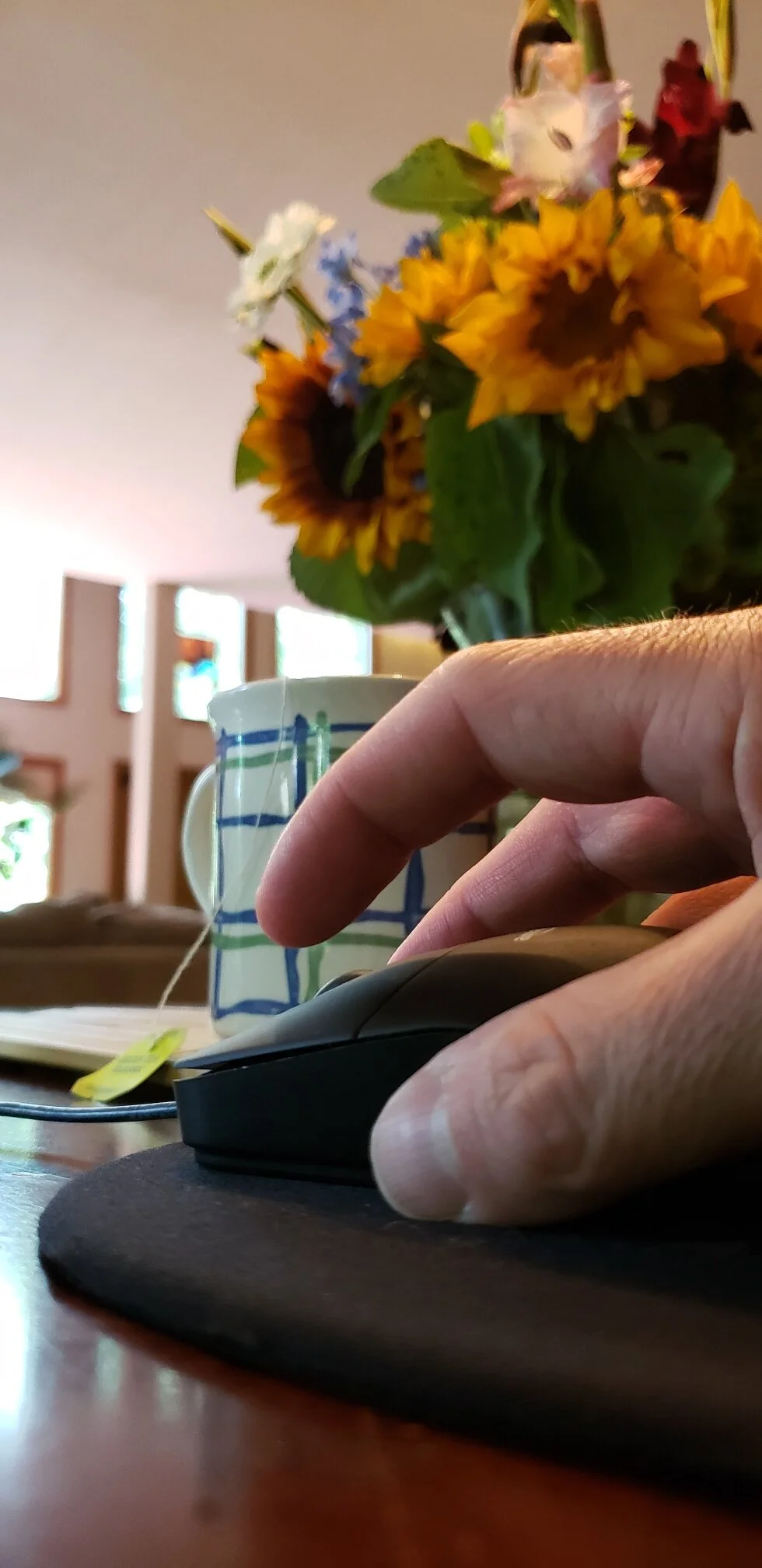 Which Mouse is the Right One for Me?