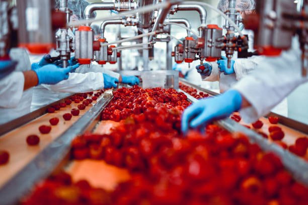 Reducing Musculoskeletal Risk in Food Manufacturing: A Practical, Data-Driven Ergonomics Approach