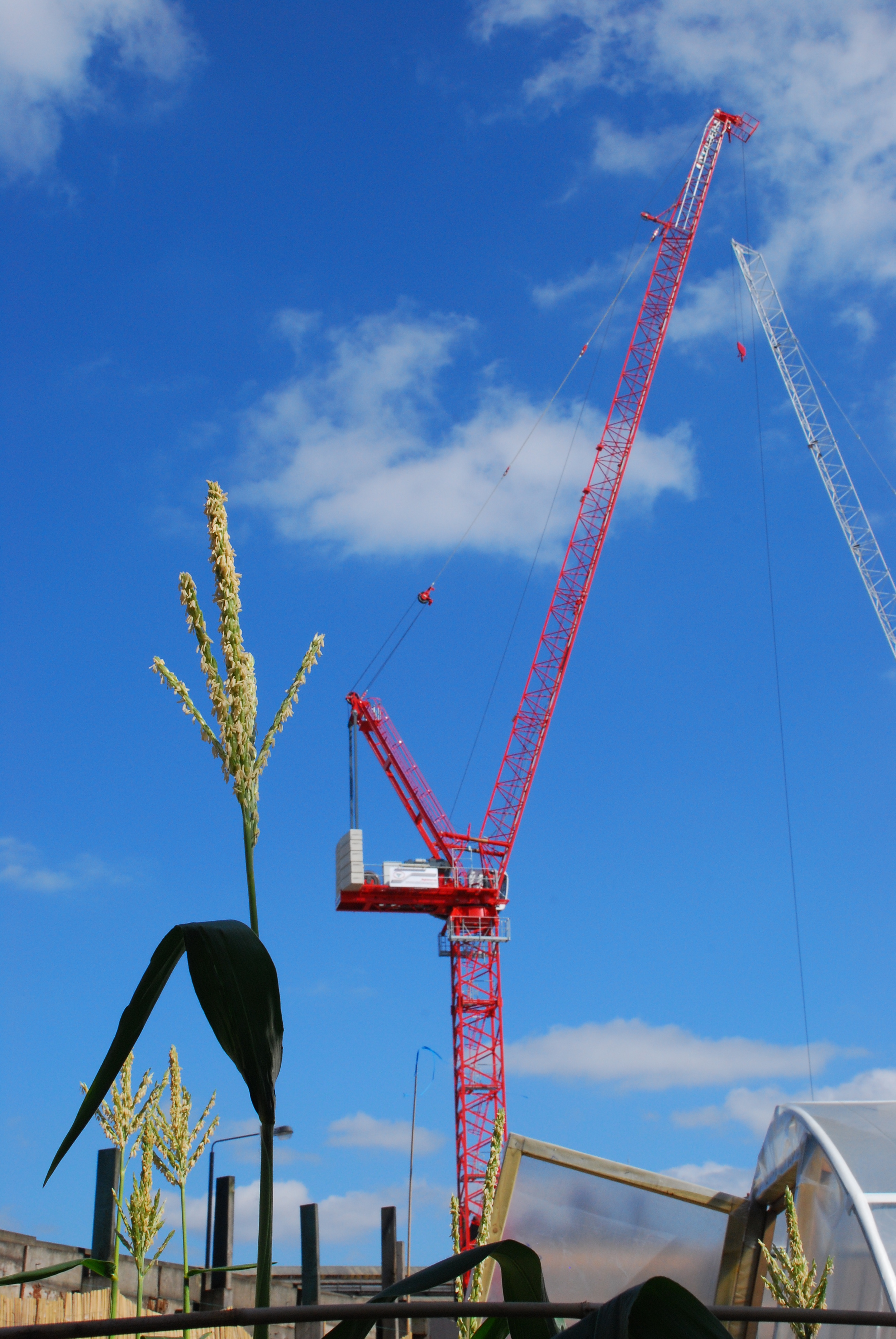 Crane-and-Grain-Photo-IC-Works.JPG