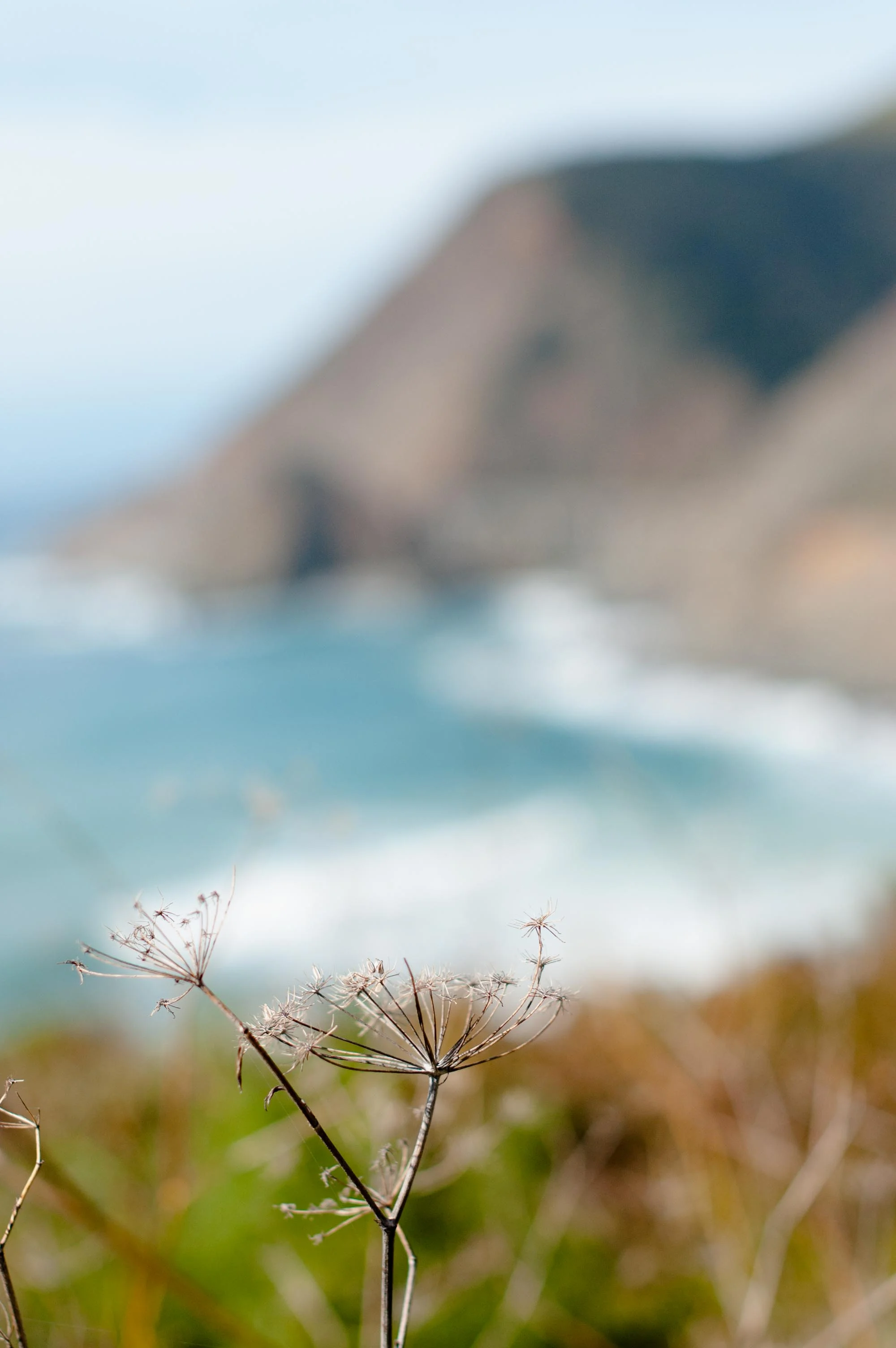 Big Sur.jpg