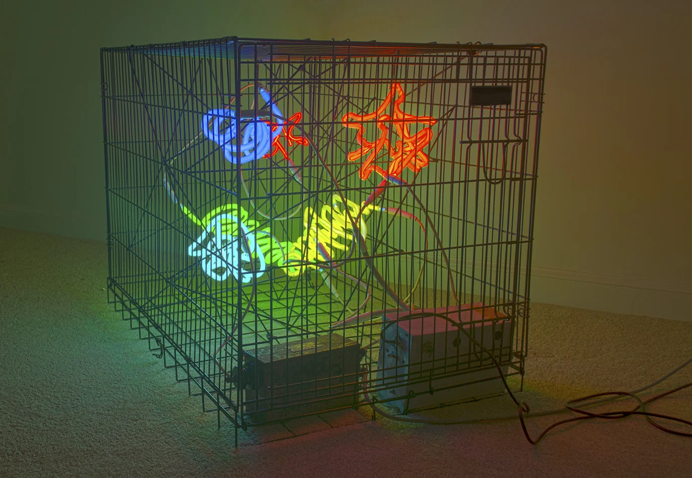 Caged Play 3 web.jpg