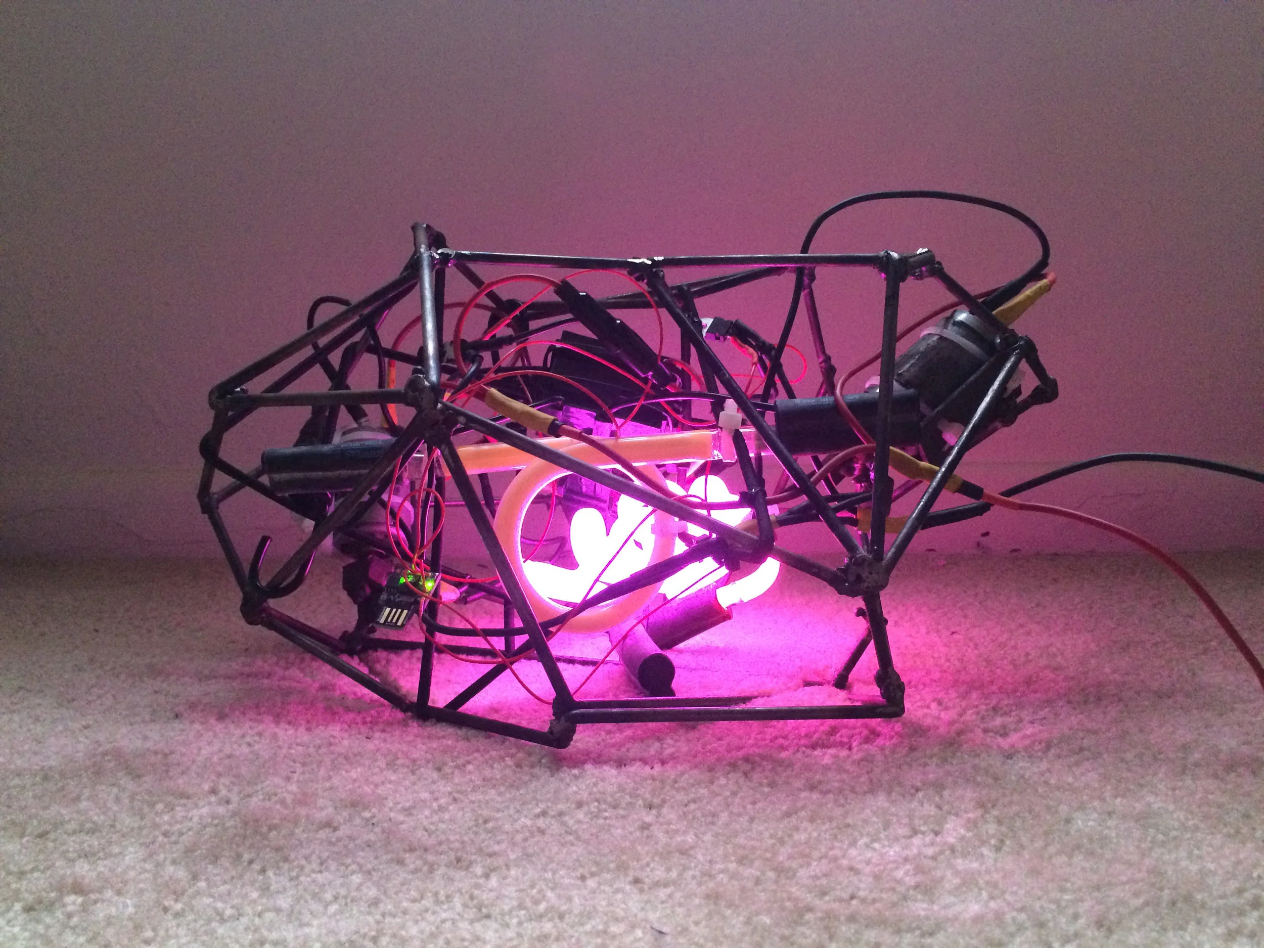 Exhibitable Object D Shake Machine.jpg