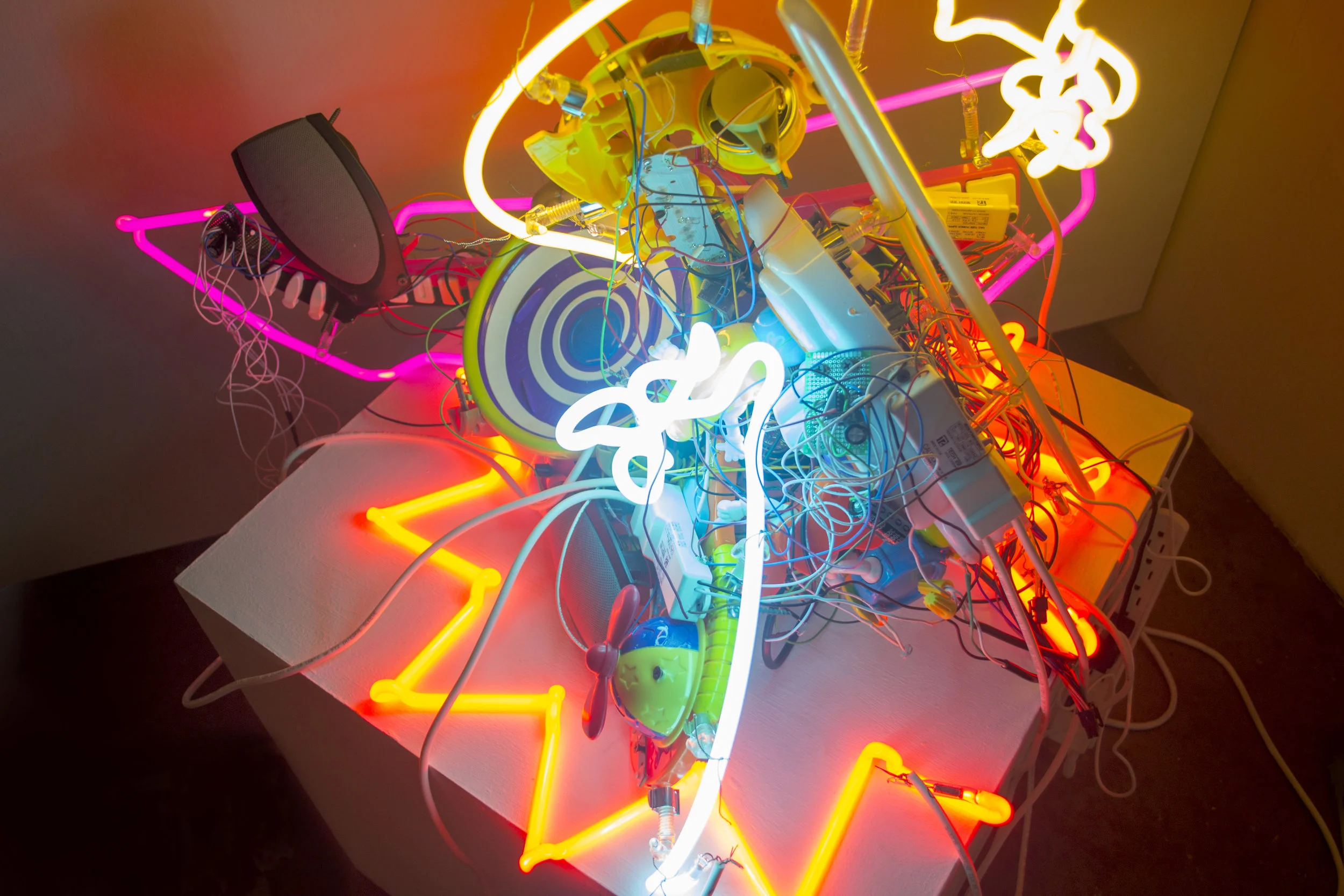 The Wild One (B) 4 WEB.jpg