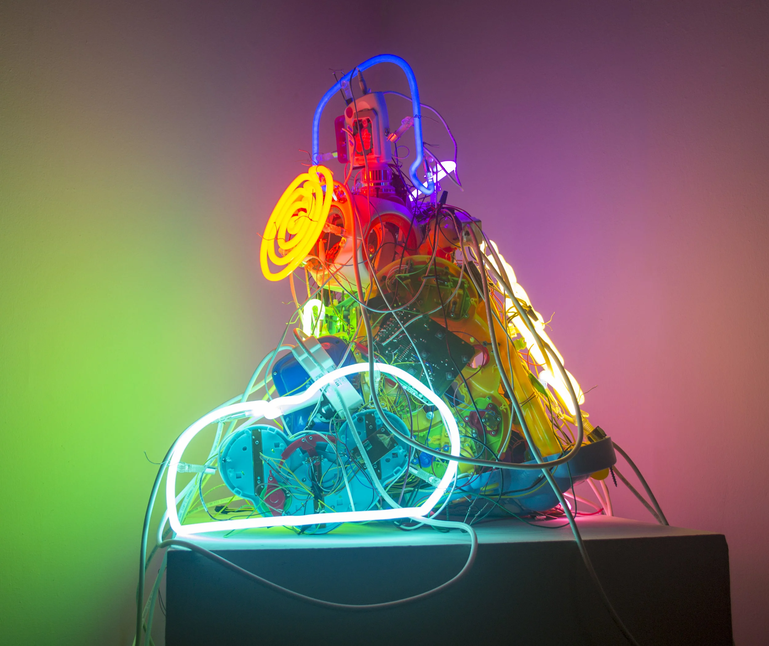 The Wild One (C)2.jpg