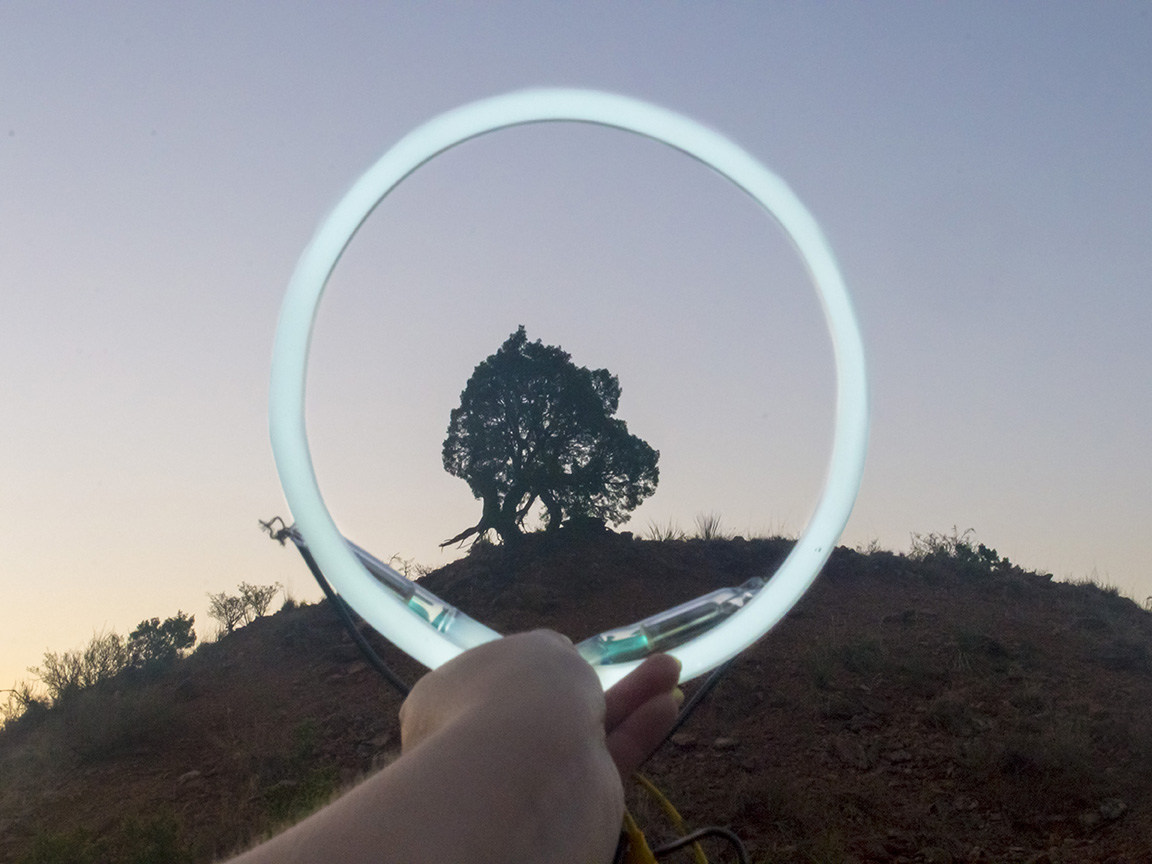 lone juniper small.jpg