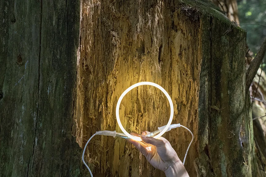 WEB Holding light.jpg