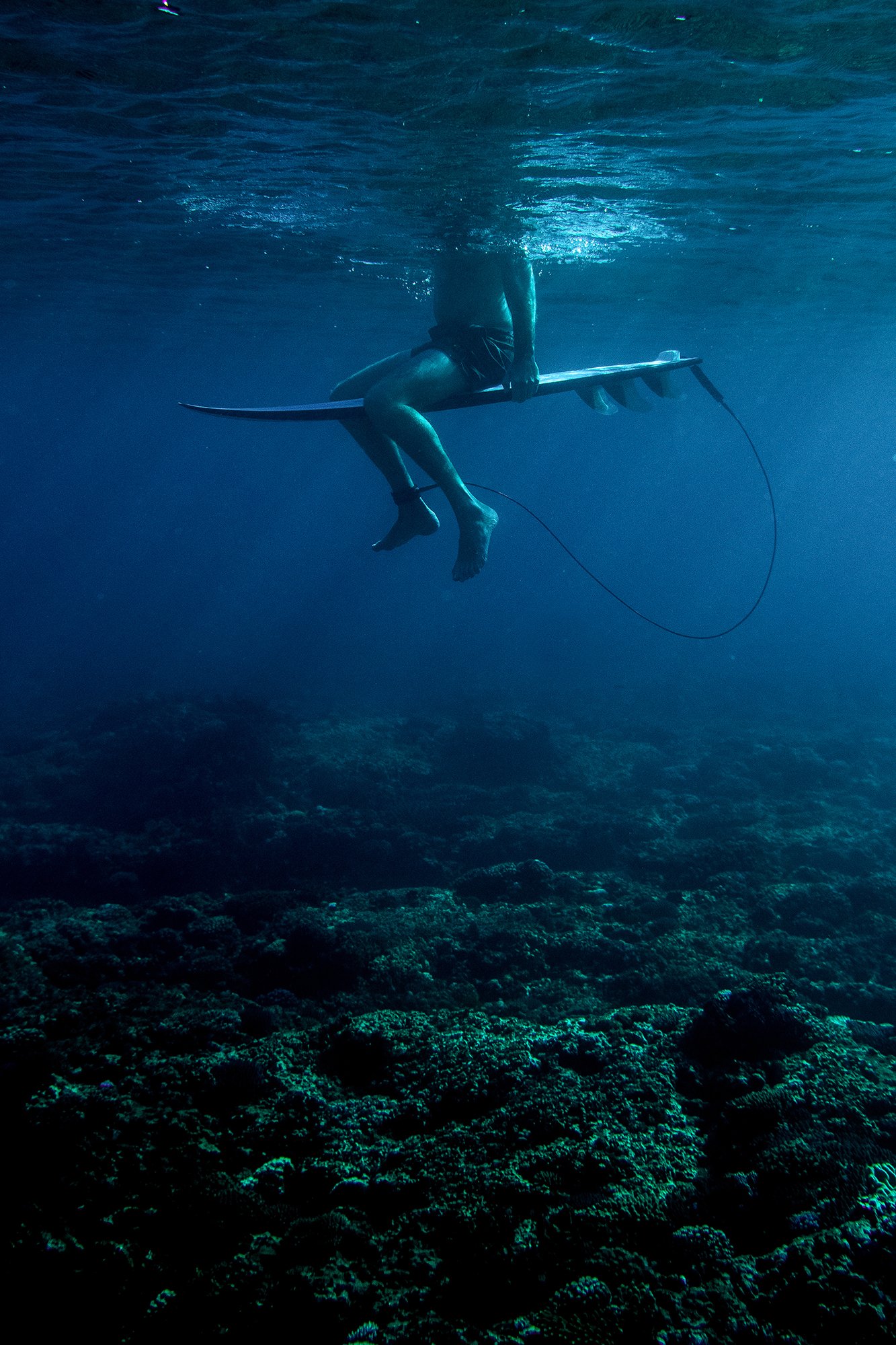 full-NolanP-RJsNolanP-Tavarua-2470.jpg