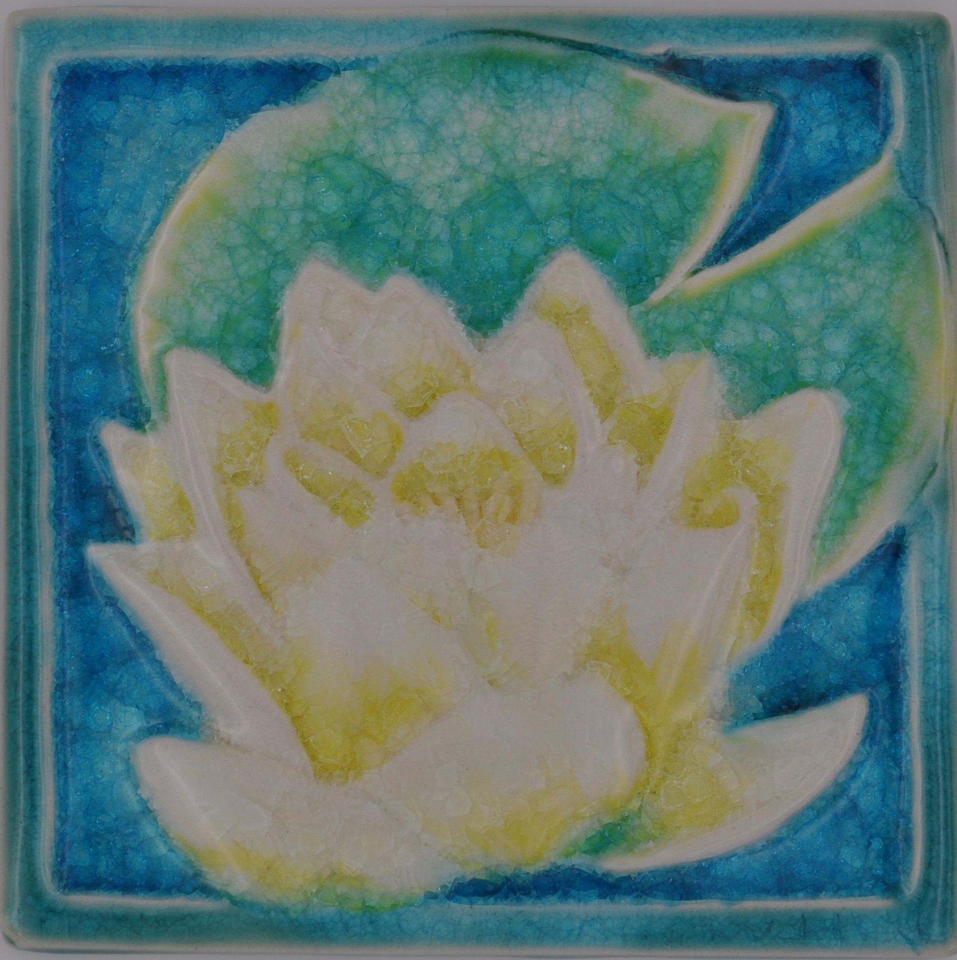 6" water lily