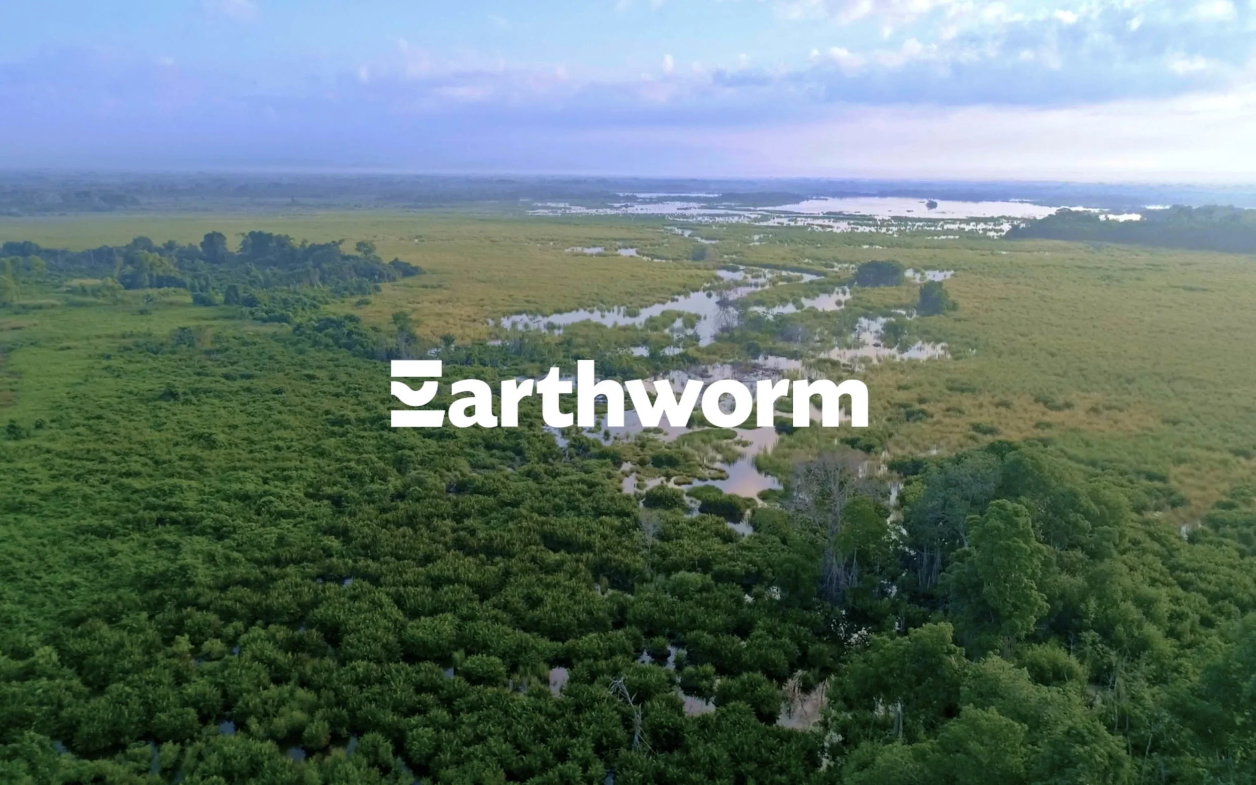 Earthworm Index Image 16x10.jpg