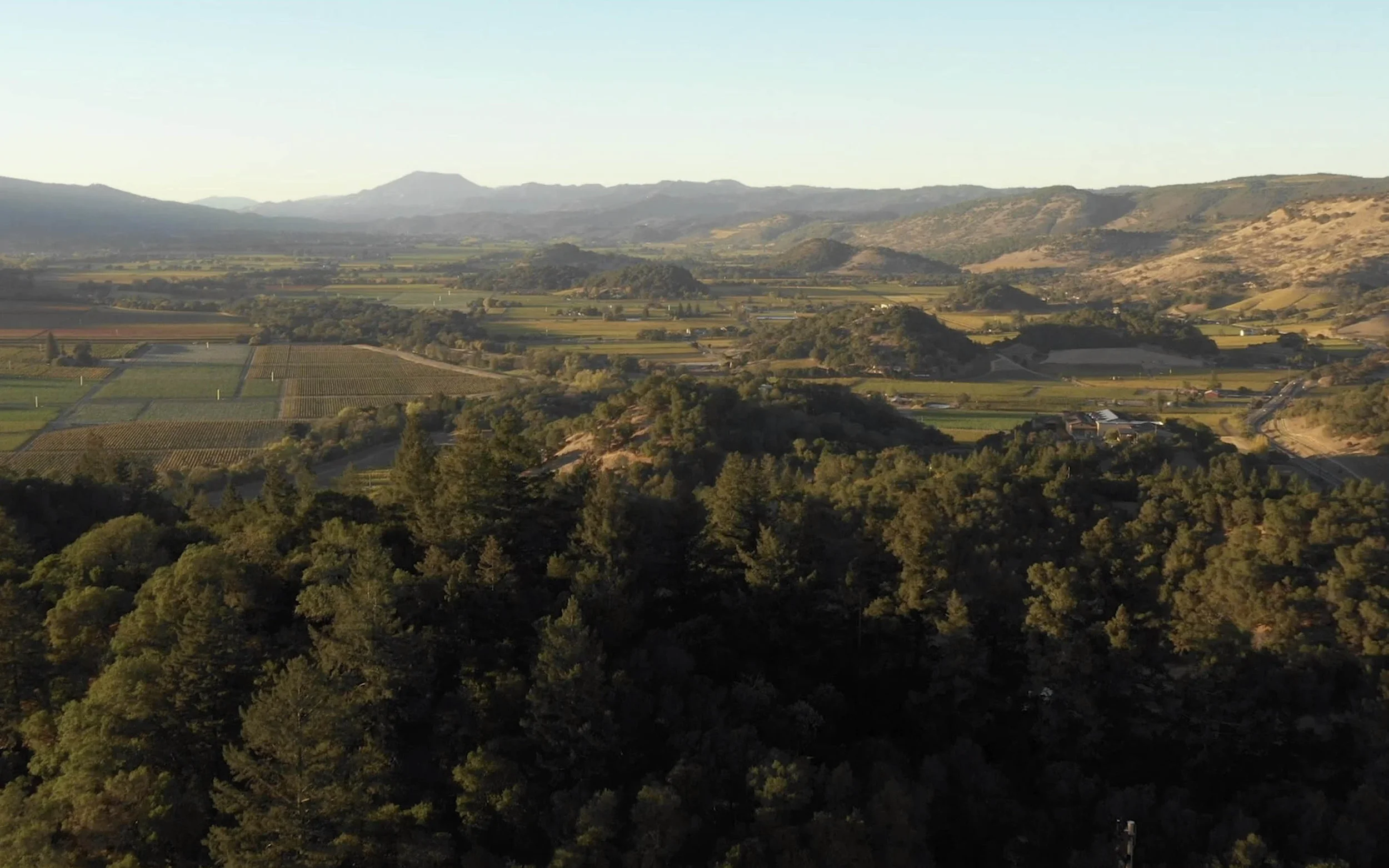 Winiarski - Index Image 16x10.jpg