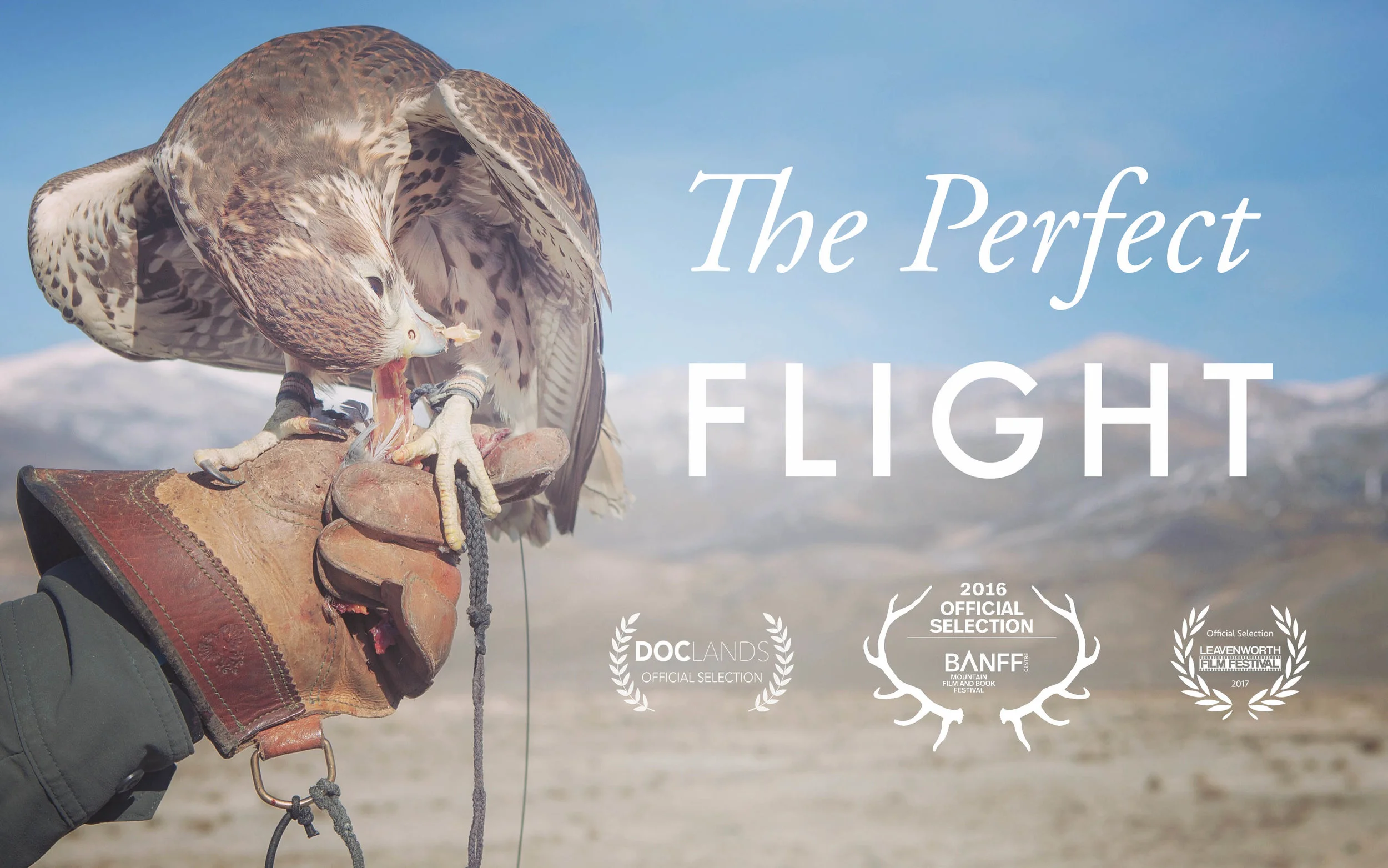 Perfect Flight - Index Image 16x10.jpg