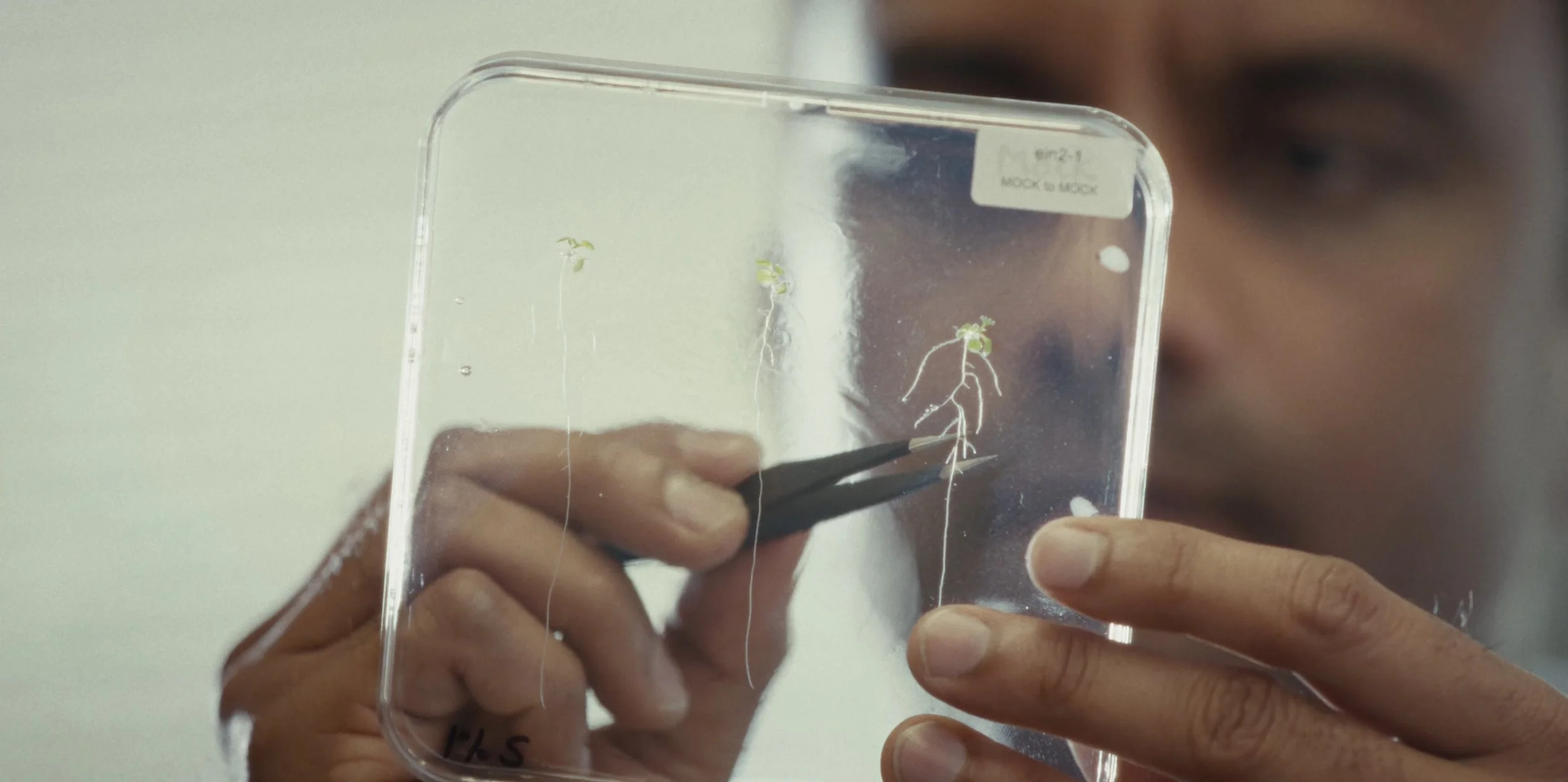 Plant Life - Film Still 05.jpeg