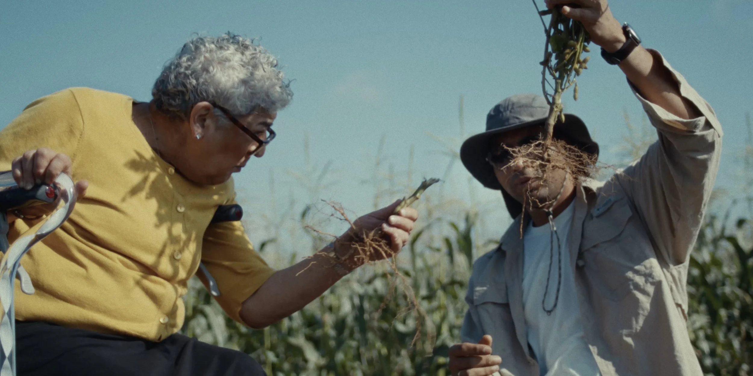 Plant Life - Film Still 06.jpeg