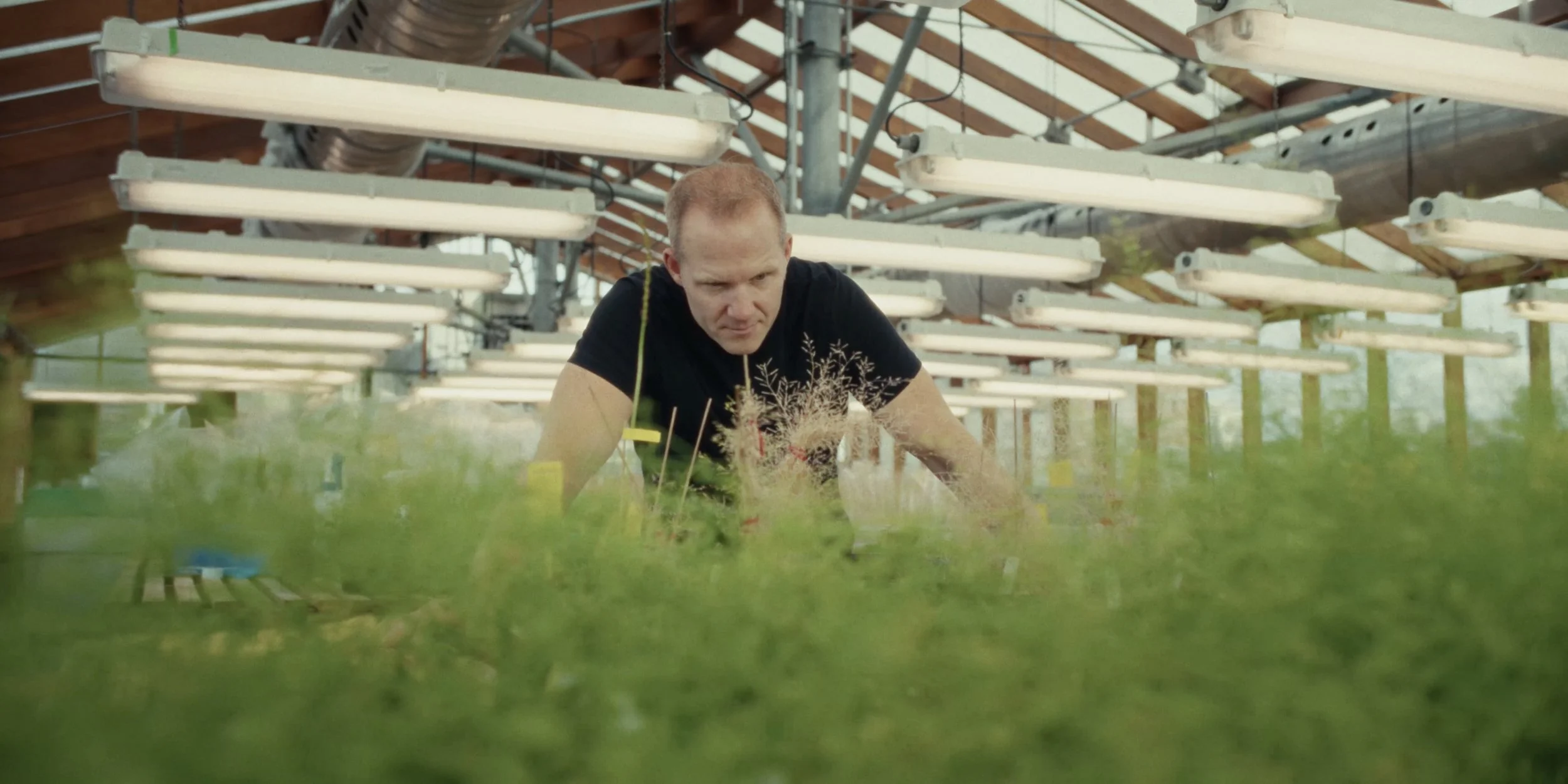 Plant Life - Film Still 012.jpeg