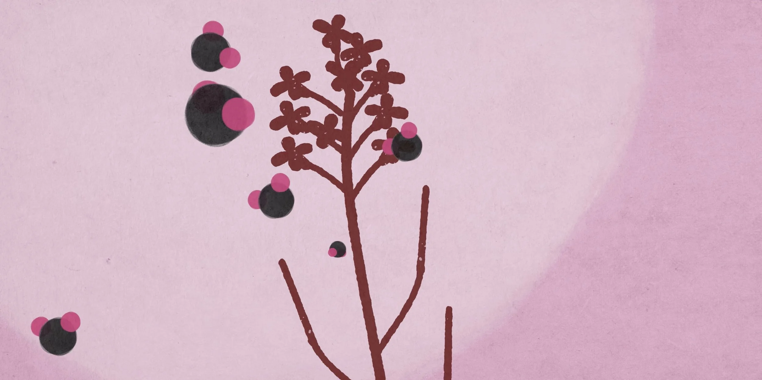 Plant Life - Film Still 011.jpeg