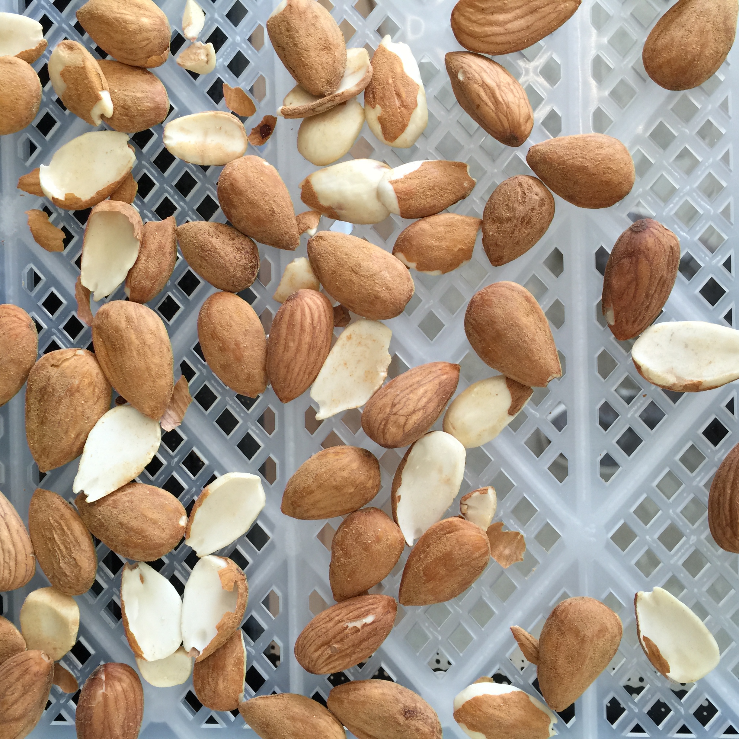 Sprouted Dehydrated Almonds