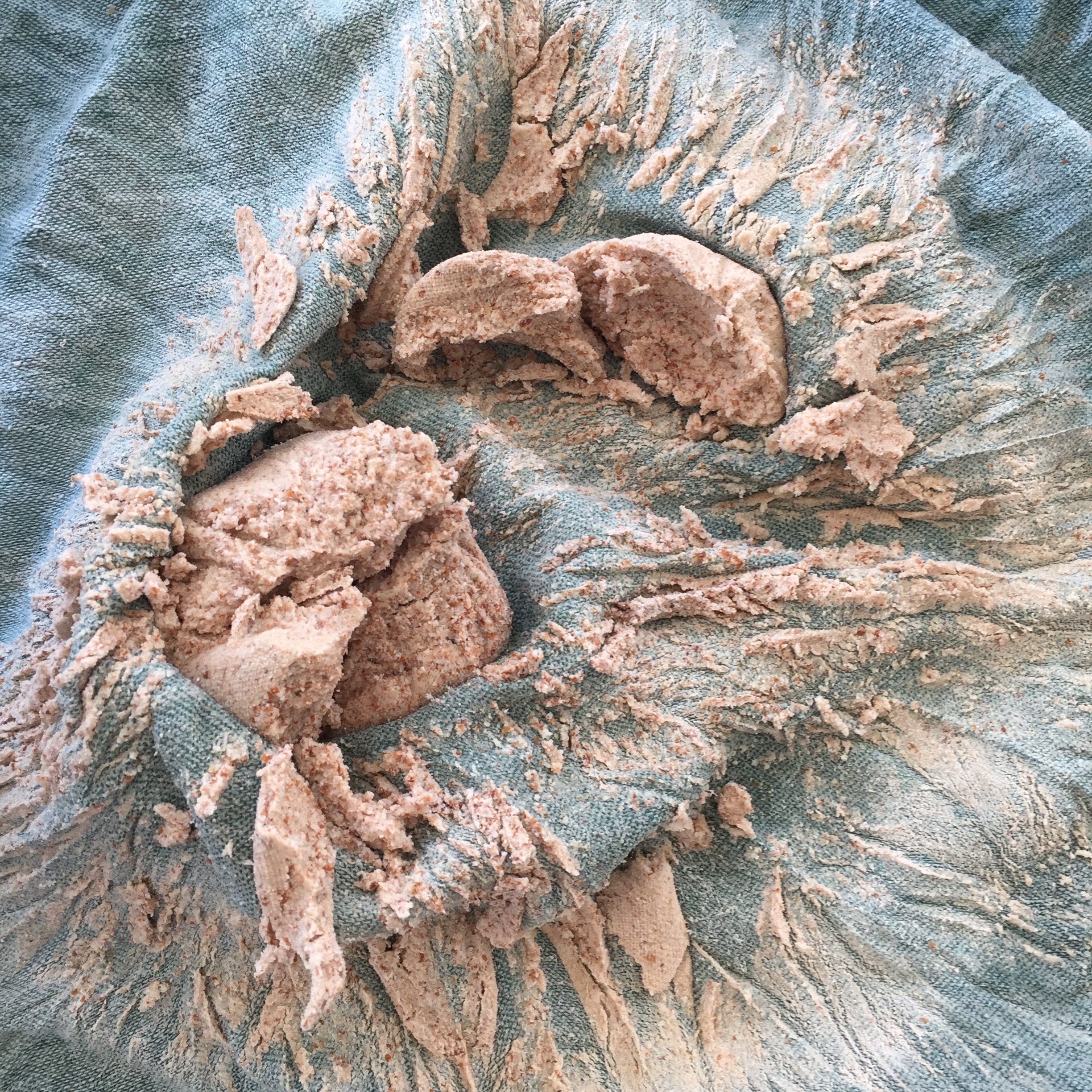 My nut-milk bag was in the wash, so I used this cloth.
