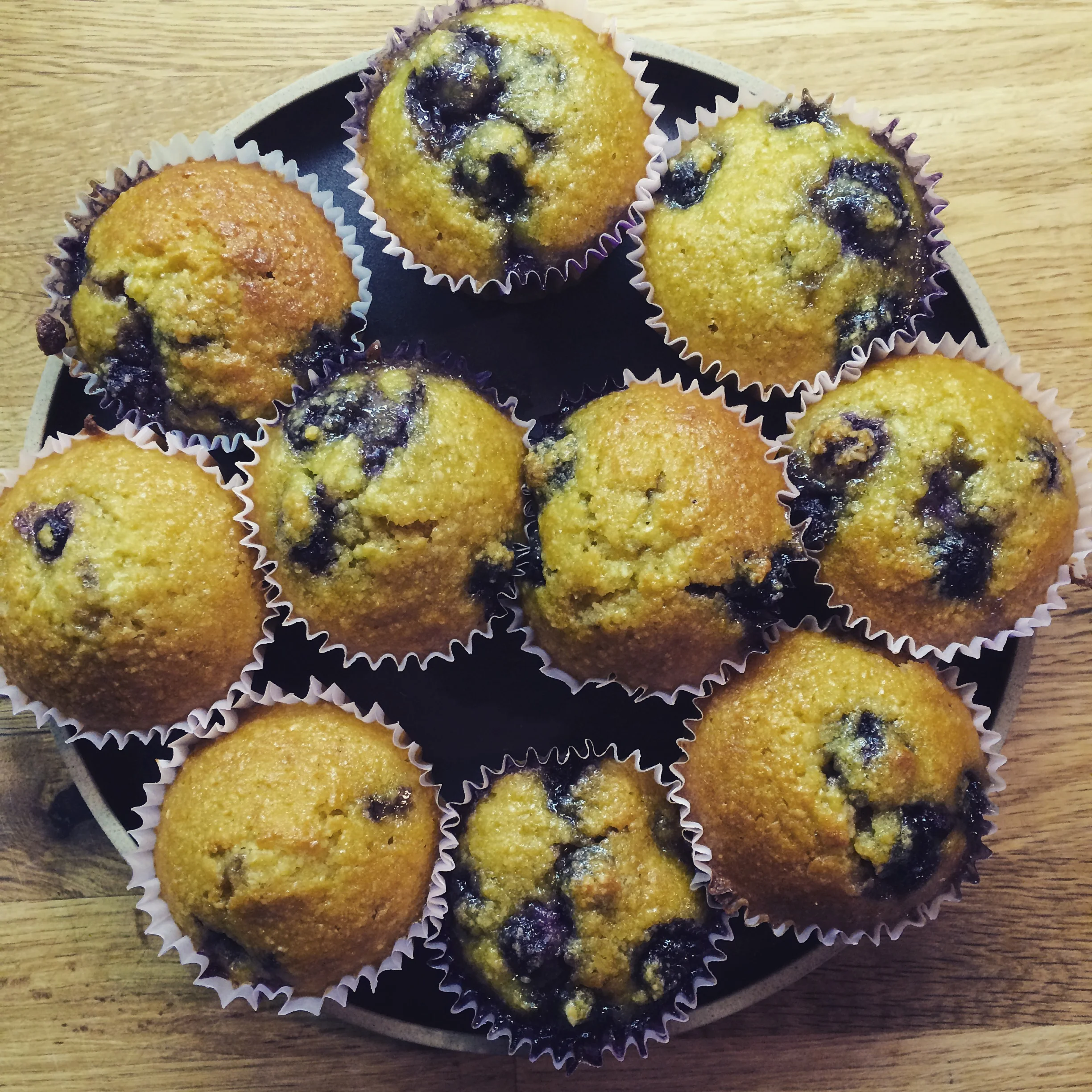 Blueberry Muffins