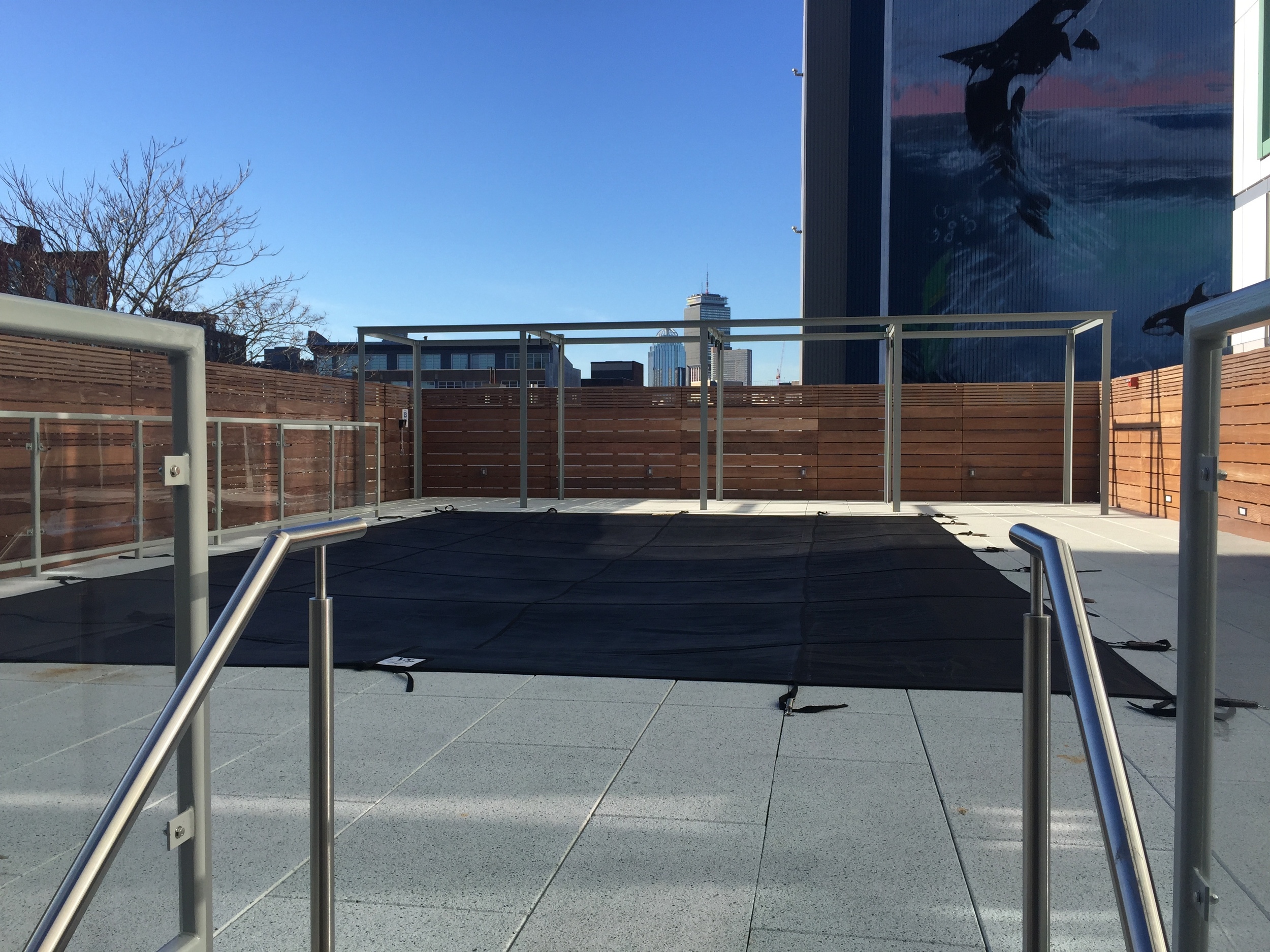 Salt water pool with a view of Prudential