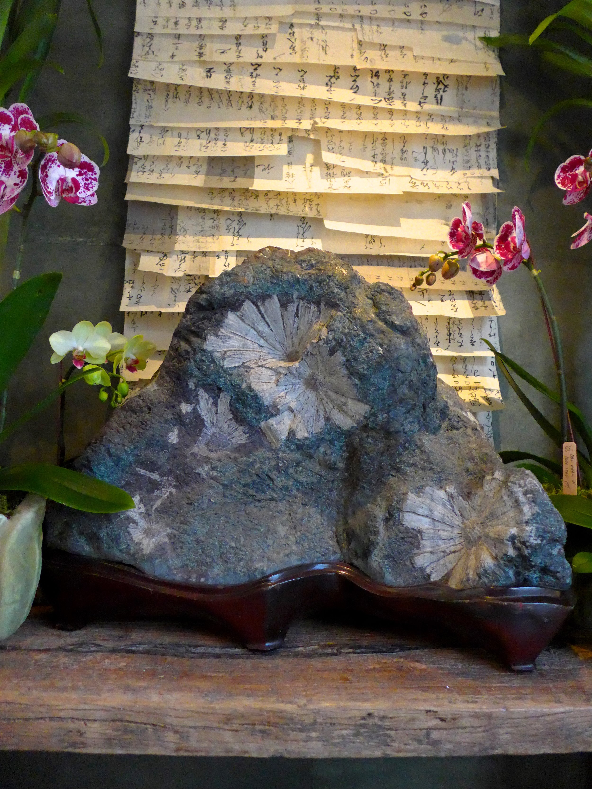 Kikumon Seki, Chrysanthemum Patter Stones