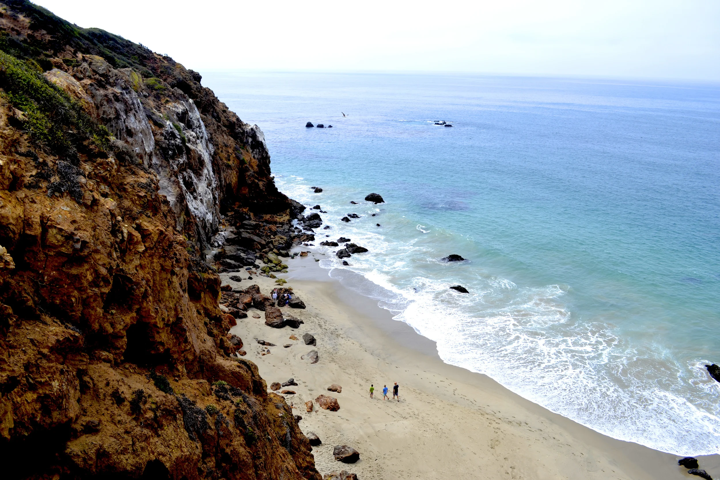 _DSC0047 copy.jpg
