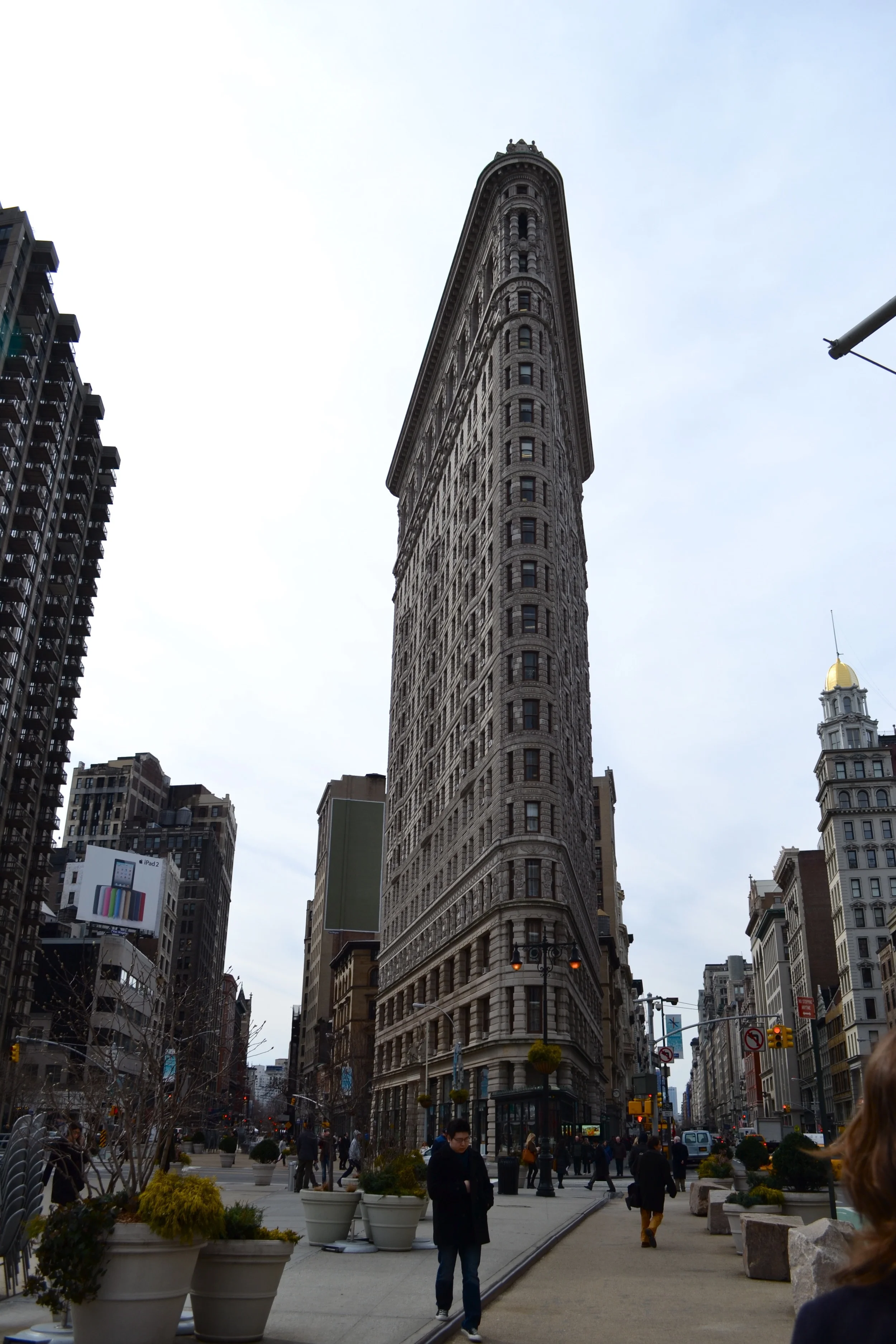 DSC_0236.jpg