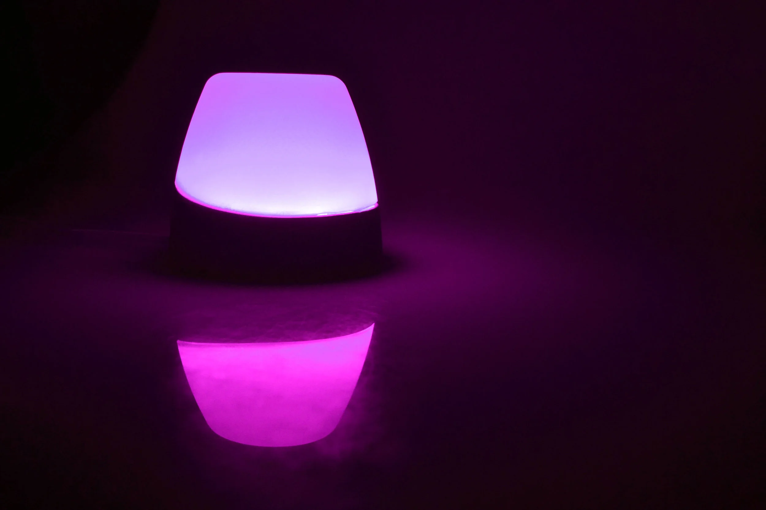 _DSC0806pink.jpg