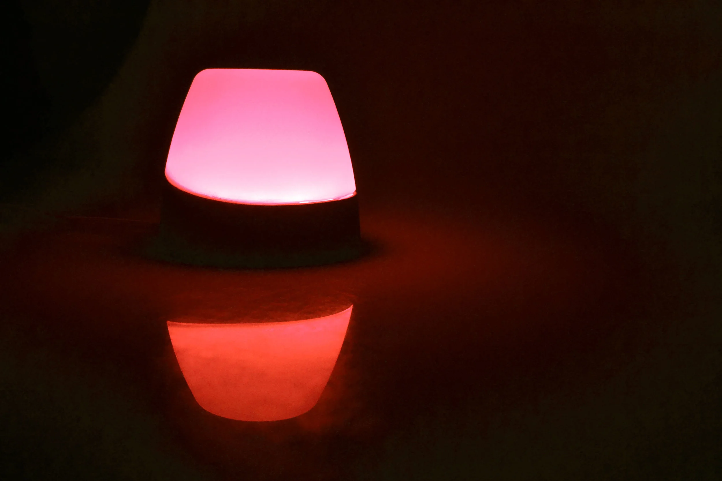_DSC0806red.jpg