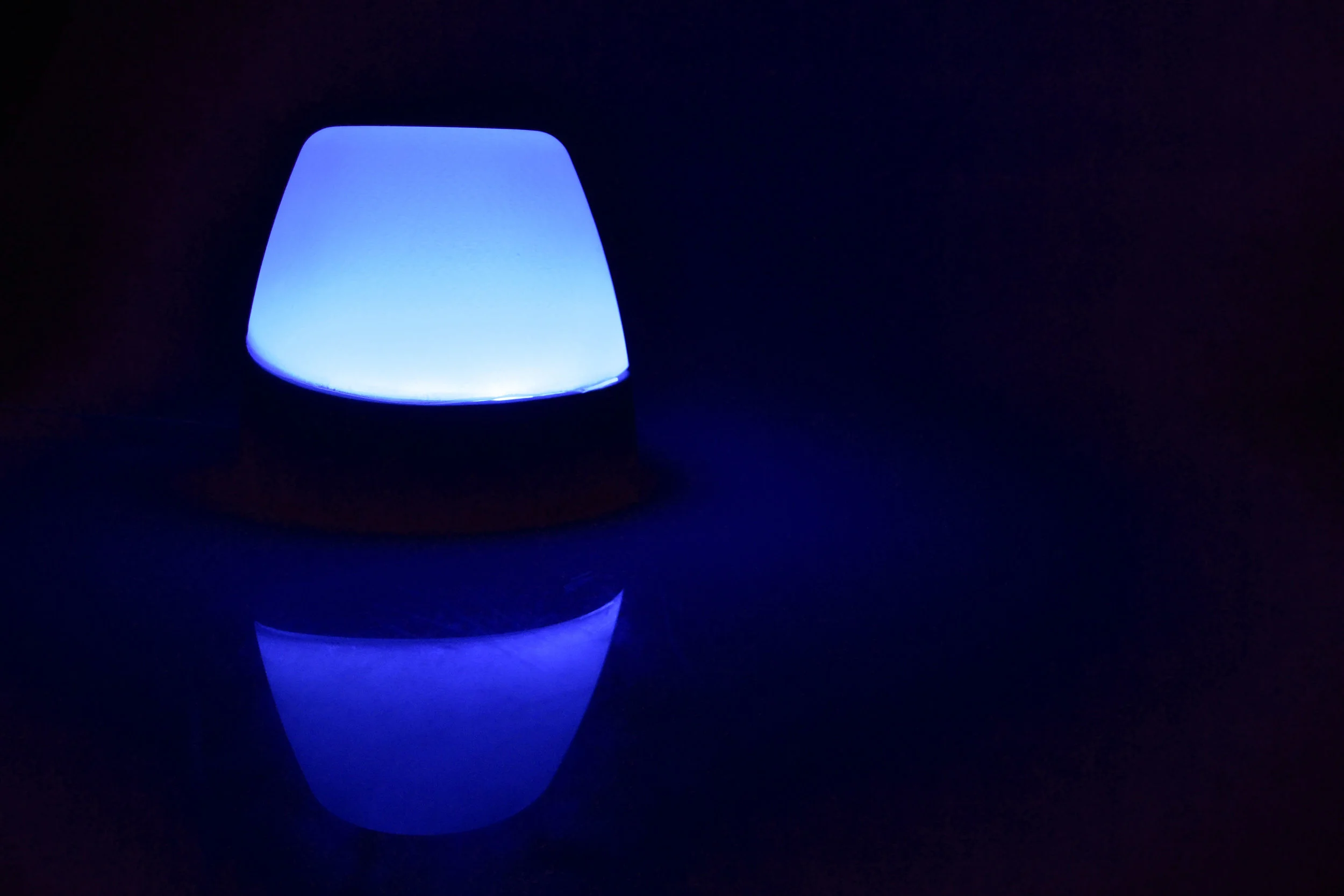 _DSC0810blue.jpg