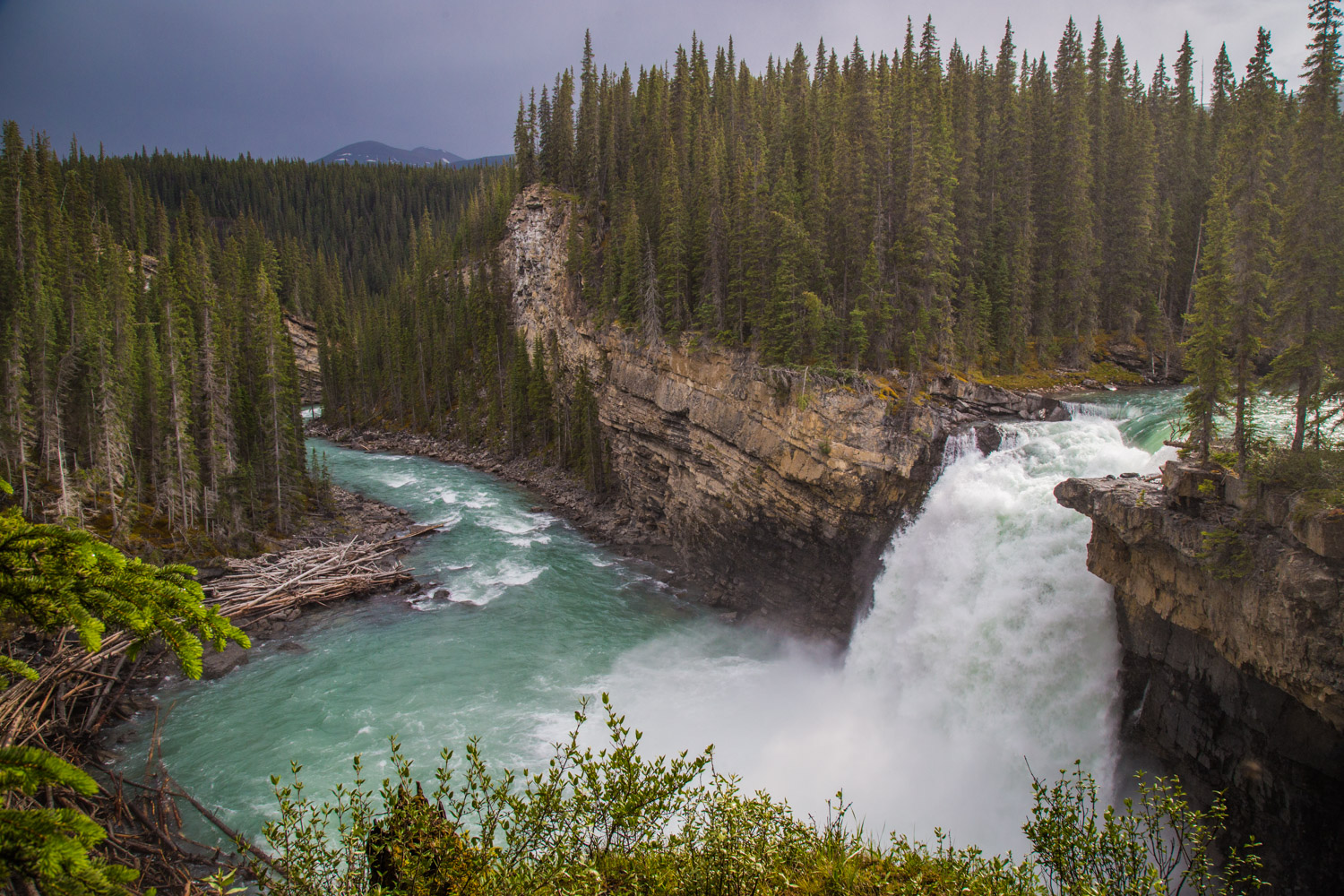Wild Current Outfitters-1669.jpg