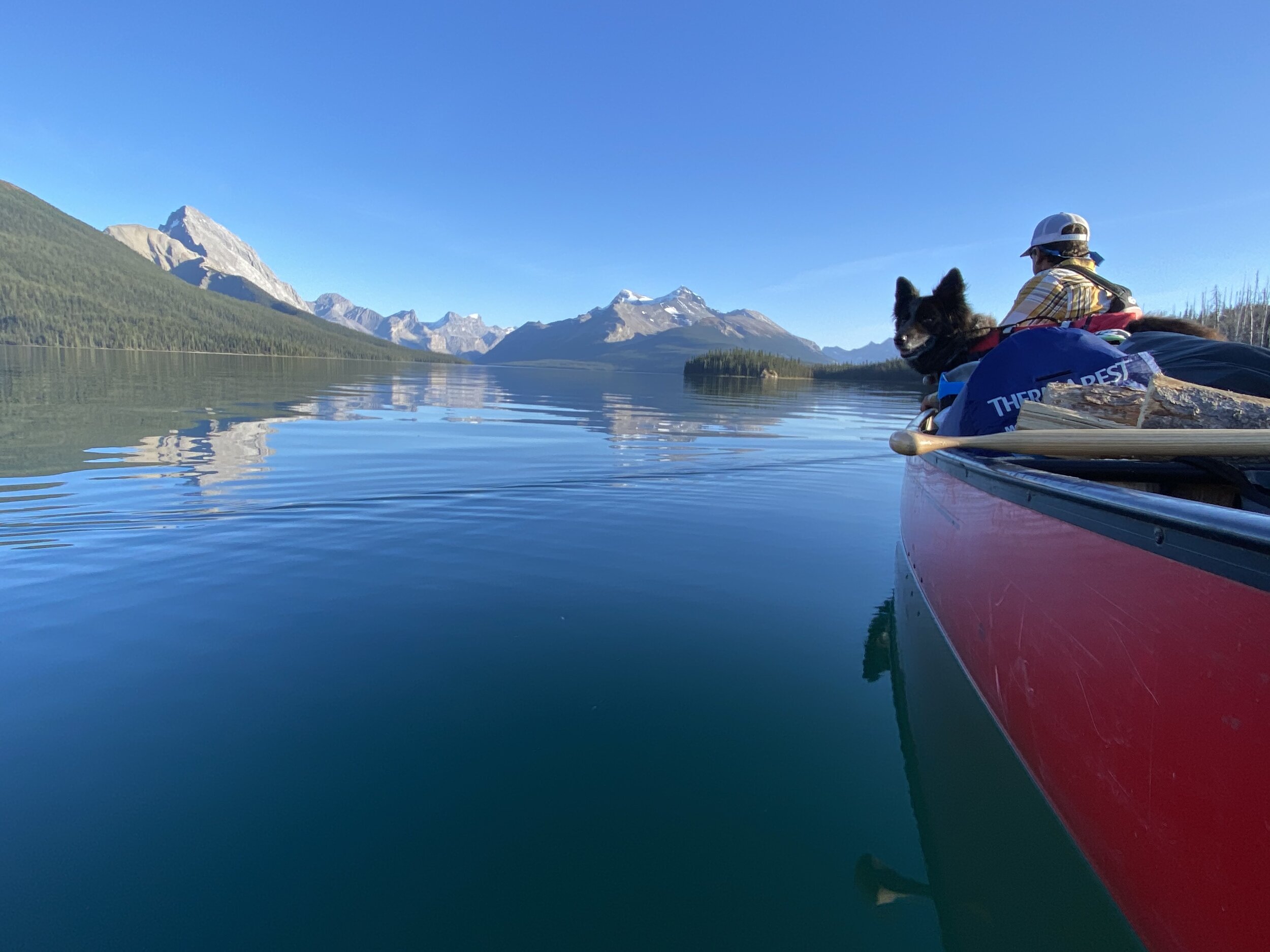 canoe rental dog